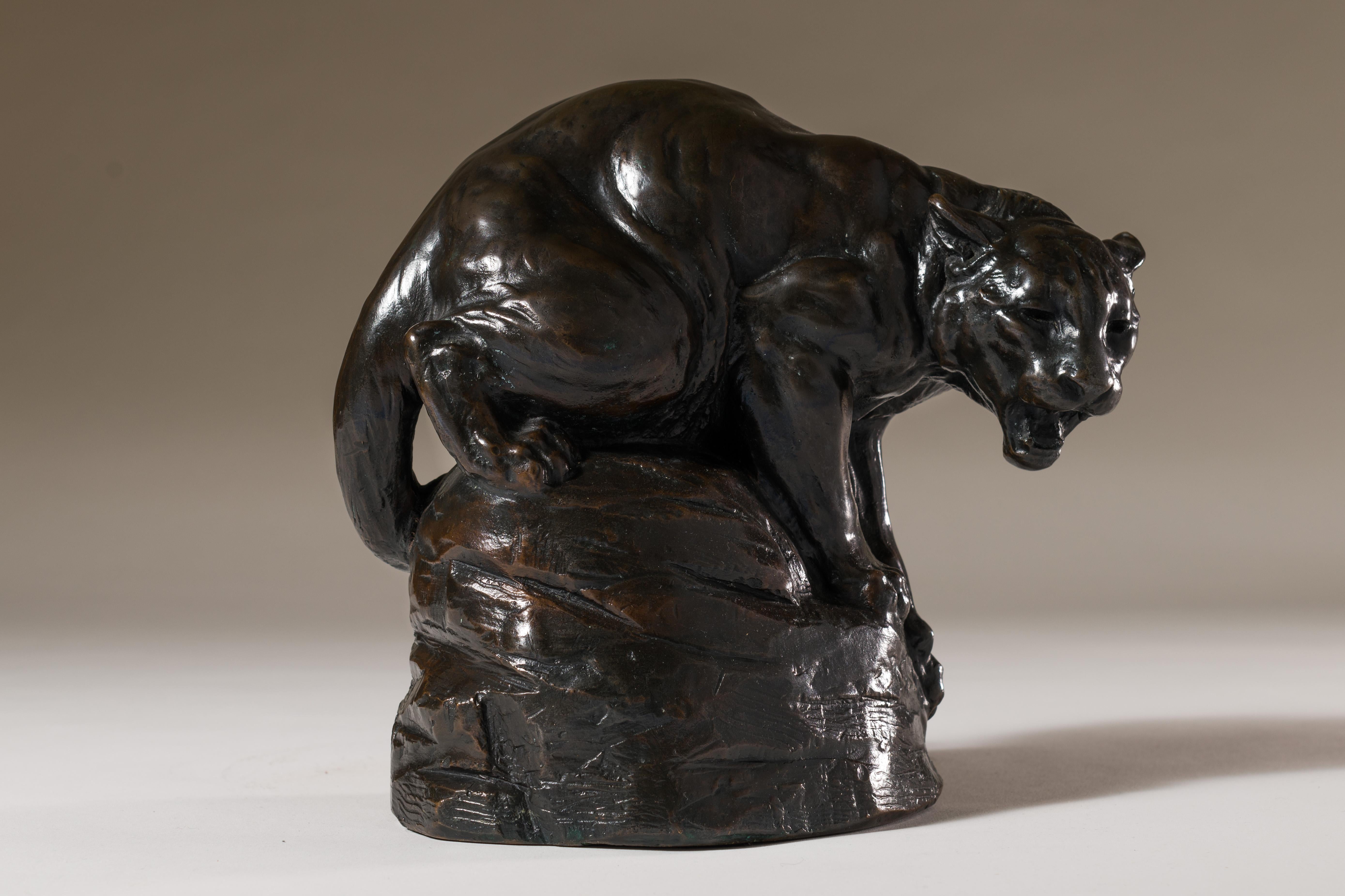 Joseph Lorkowski Boulton Still-Life Sculpture - Bronze Sculpture "Mountain Lion" animalier, wildlife piece