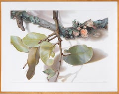 Blätter und Zweige, Nature-Studie
