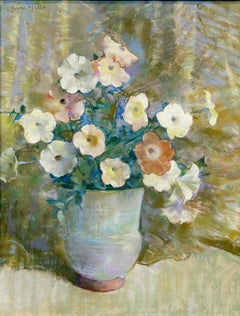Petunia rosa e bianca