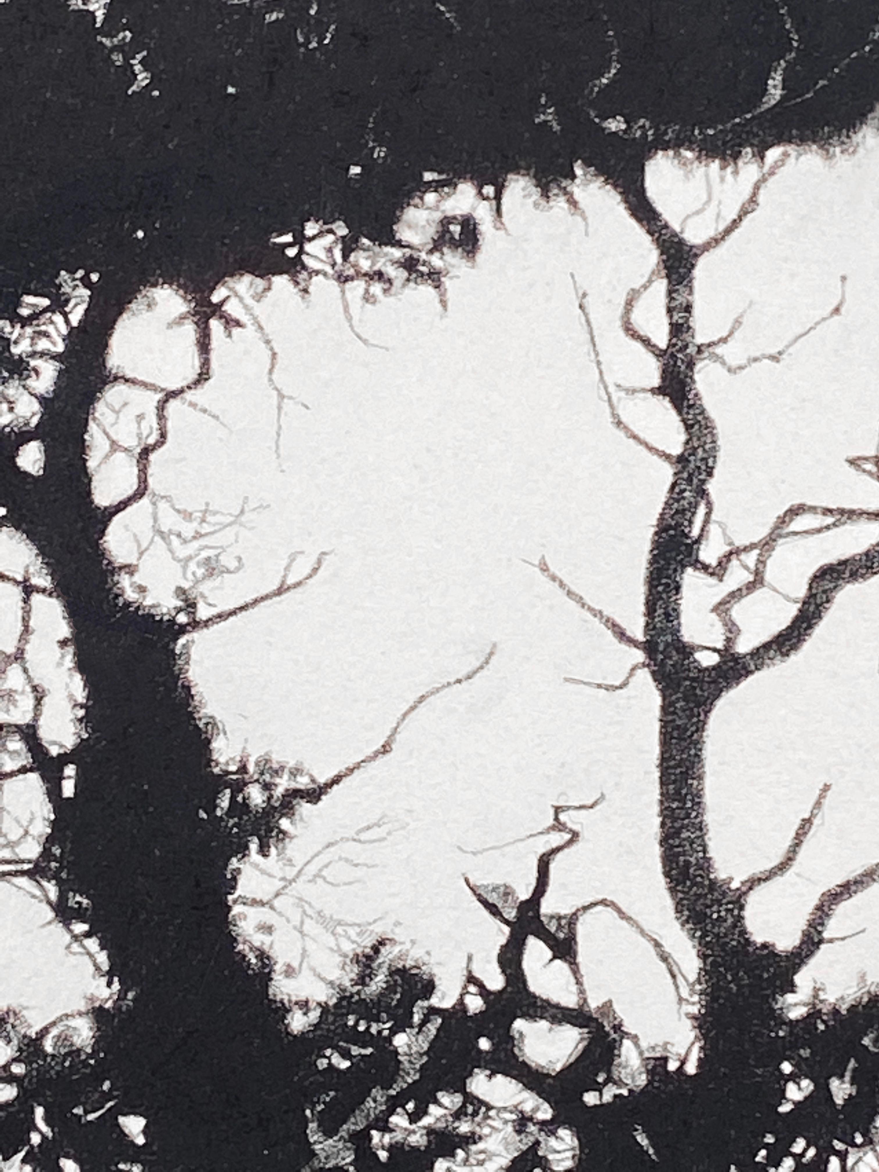 Curva en el RIver, Blanco y Negro - Art Realista de Sarah Gillespie