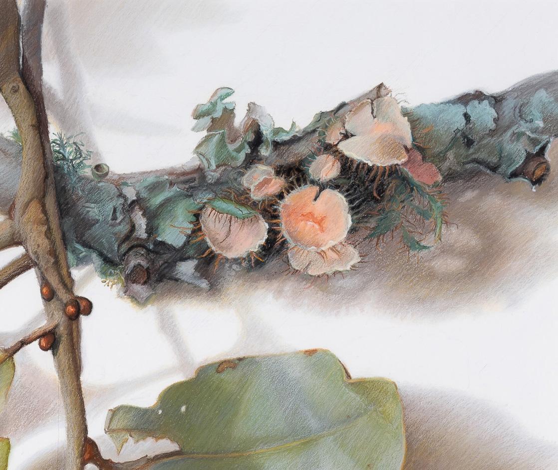 Blätter und Zweige, Nature-Studie (Beige), Still-Life, von Mary Ann Currier