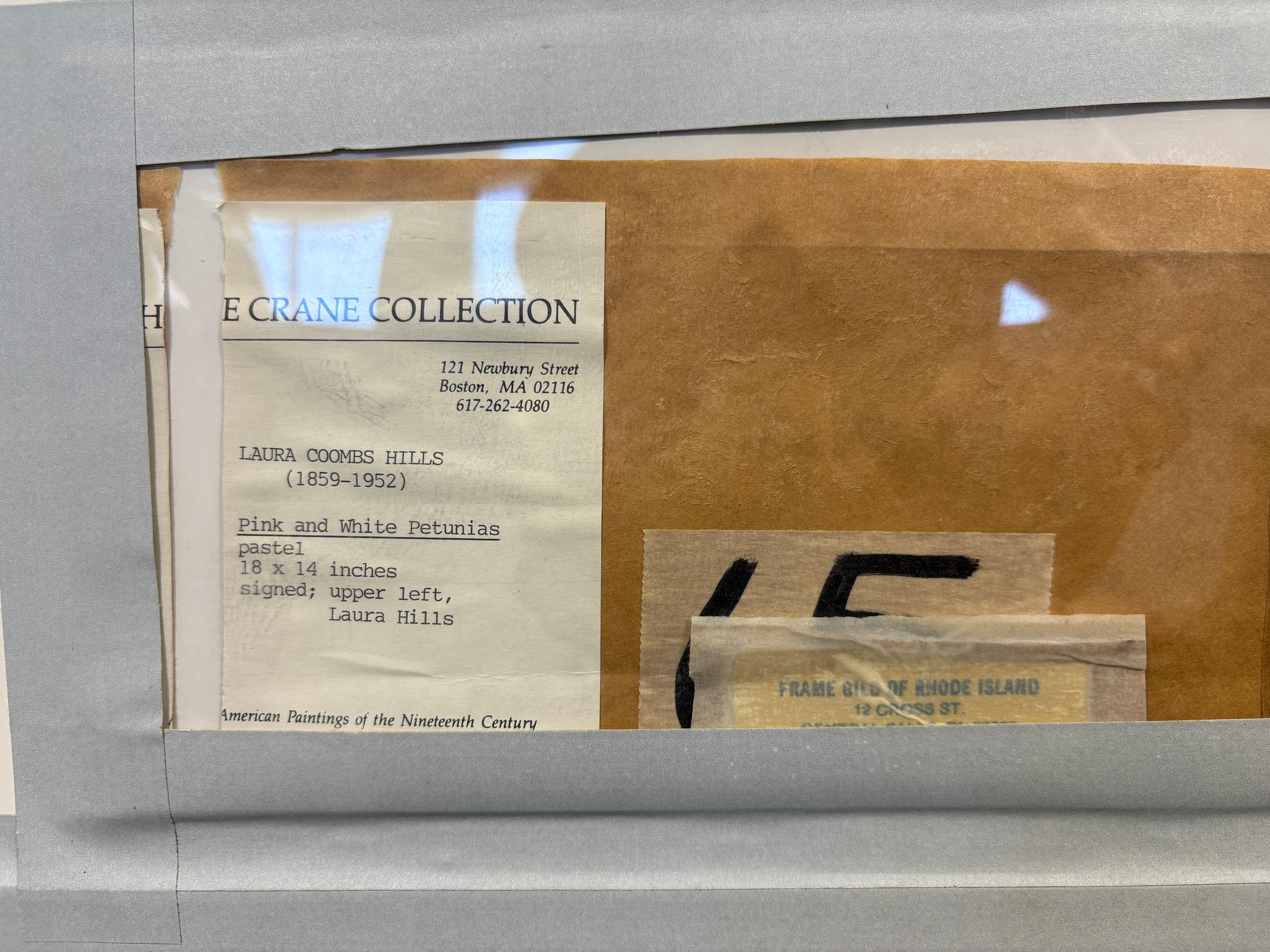 Pink and White Petunias For Sale 3