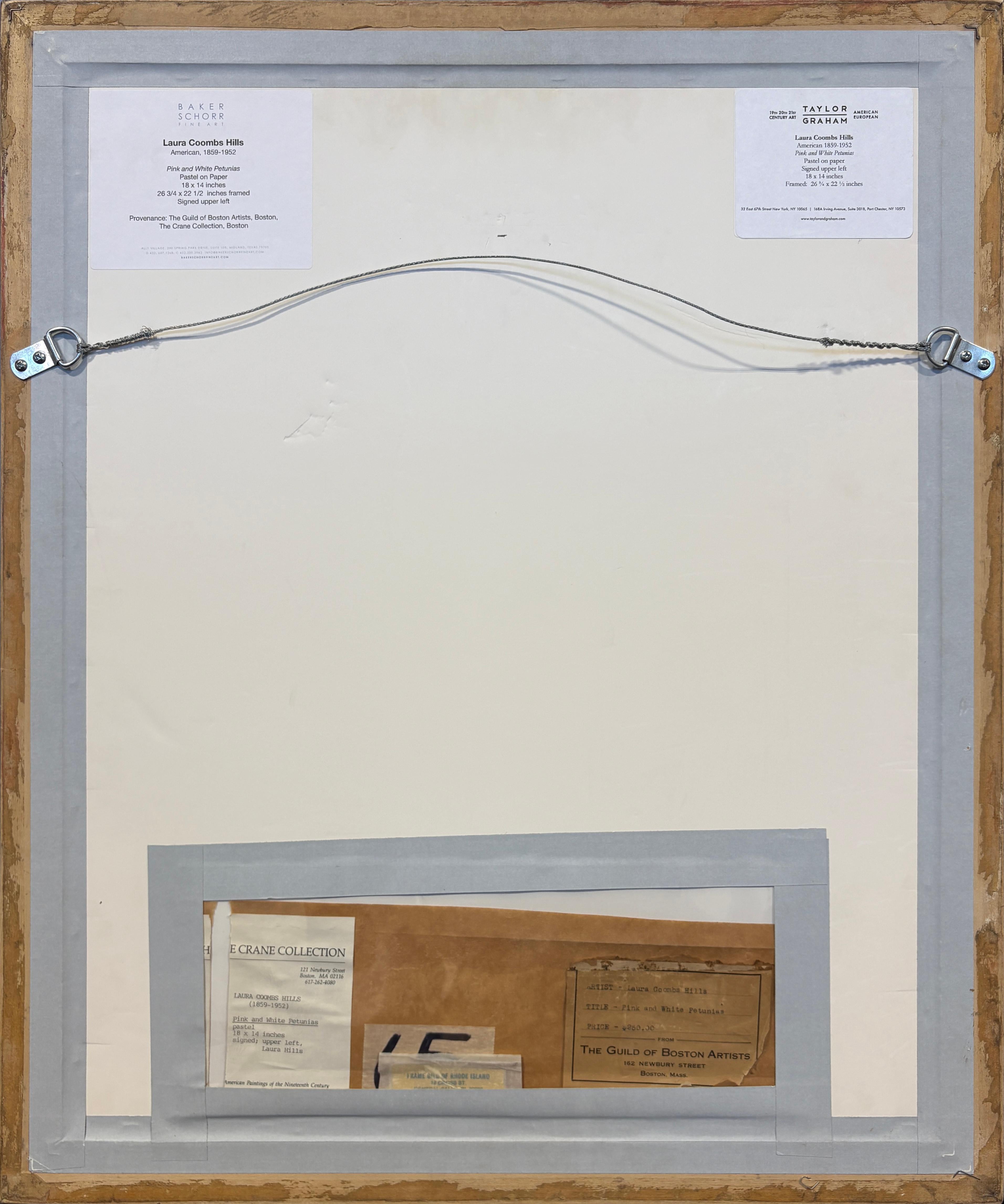 Pink and White Petunias For Sale 4