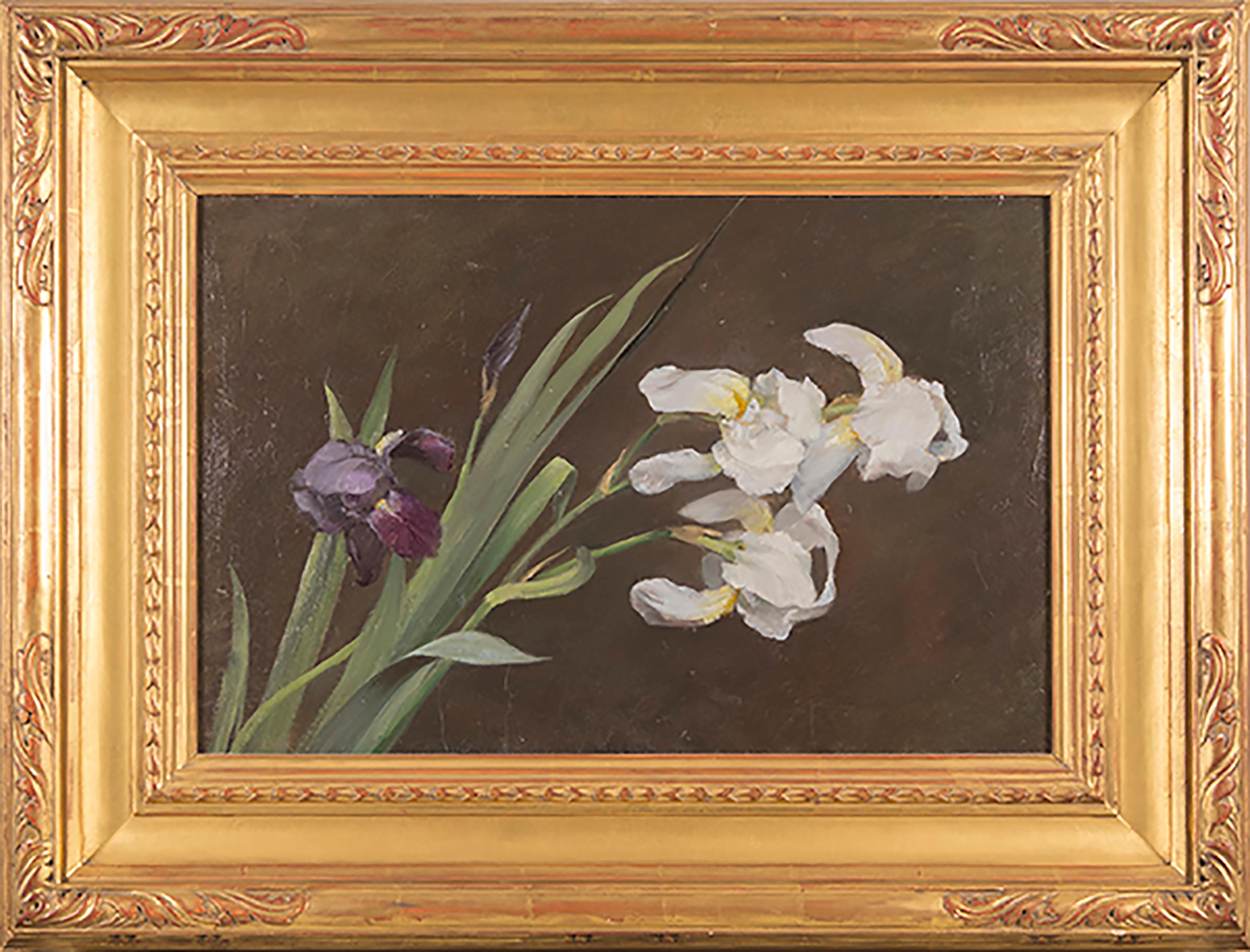 Purple and White Iris - Naturalistic Painting by Fannie C. Burr