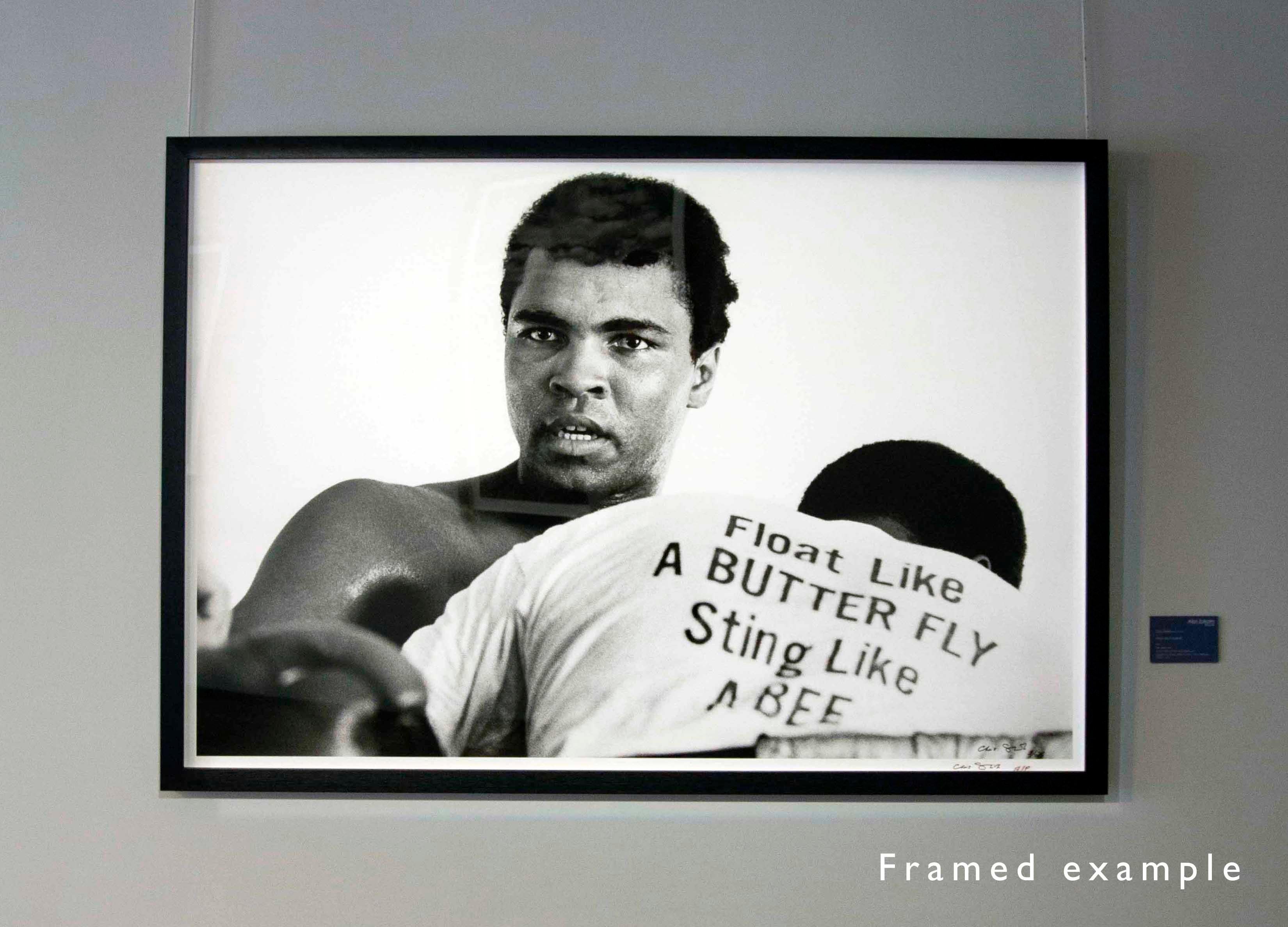 Float Like a Butterfly, Sting Like a Bee - Chris Smith, Muhammad Ali, 34,5x48 pouces en vente 1