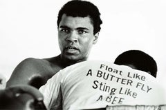 Retro Float Like a Butterfly, Sting Like a Bee - Chris Smith, Muhammad Ali, 46x66 in