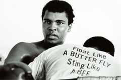 Float Like a Butterfly, Sting Like a Bee - Chris Smith, Muhammad Ali, 20x30 in