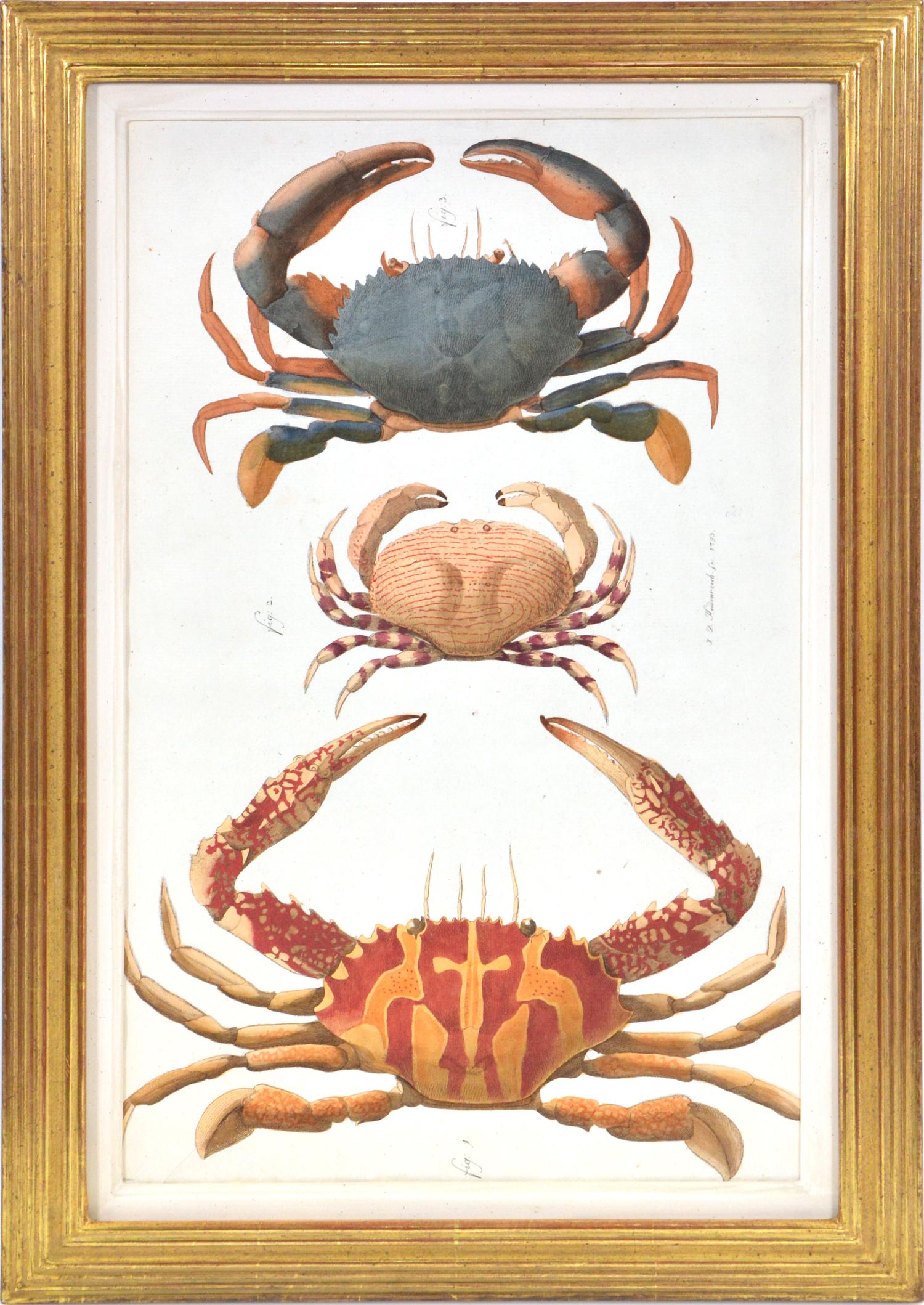 Johann Friedrich Wilhelm Herbst Animal Print - HERBST. A Group of Six Crustraceans: Crabs