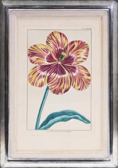 Antique BUCHOZ. A Group of Four Tulips