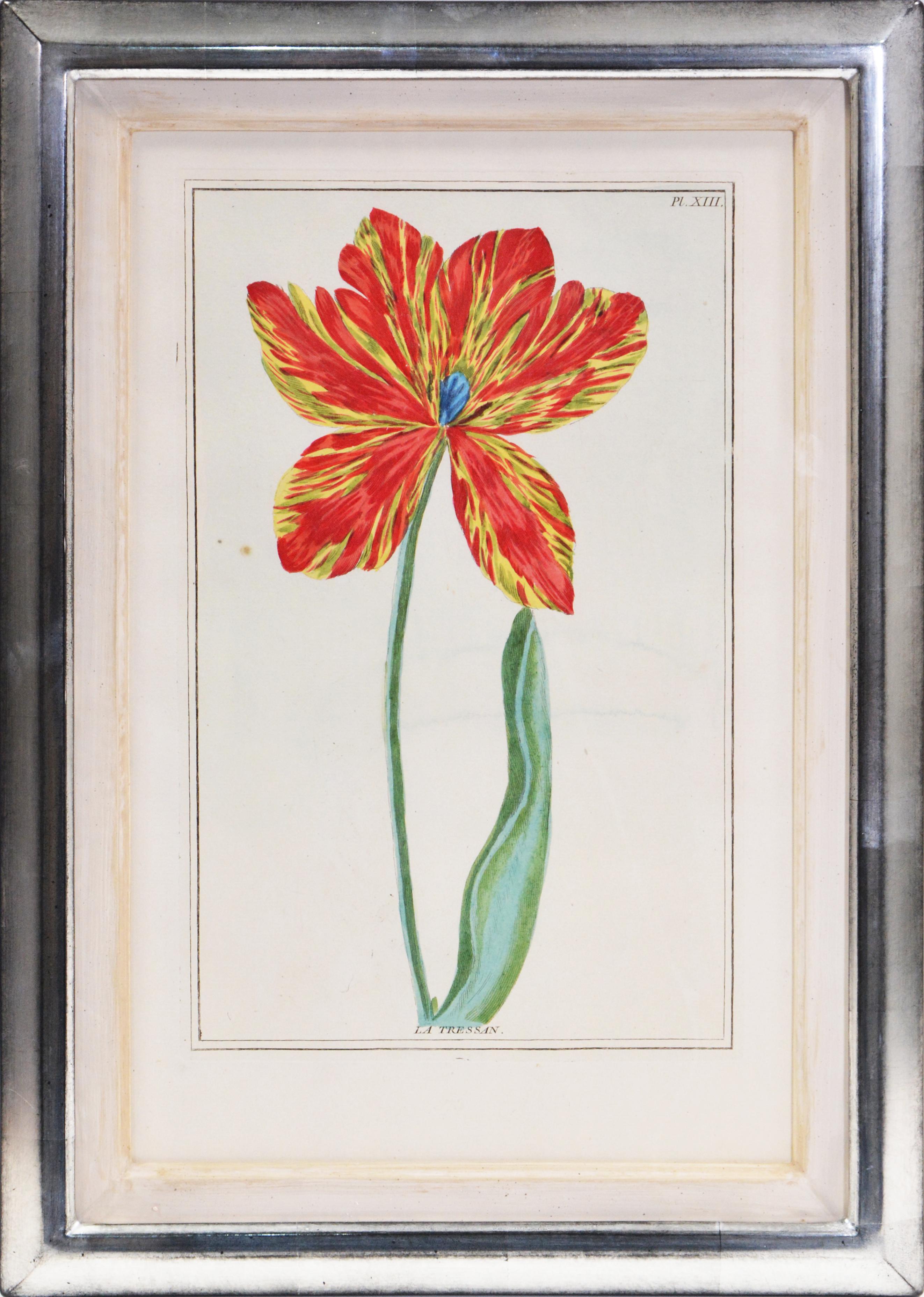 pierre joseph buchoz