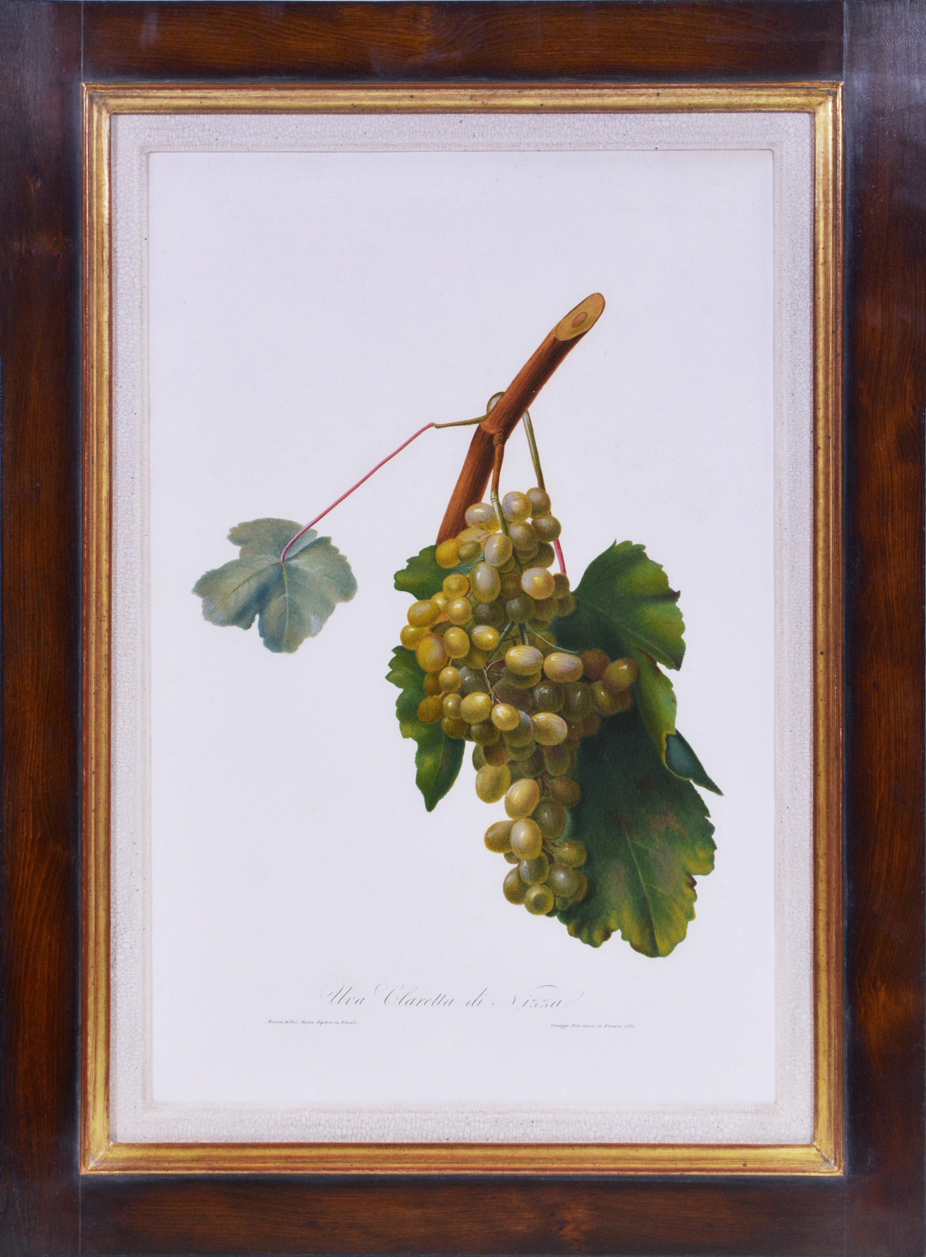 a group of grapes