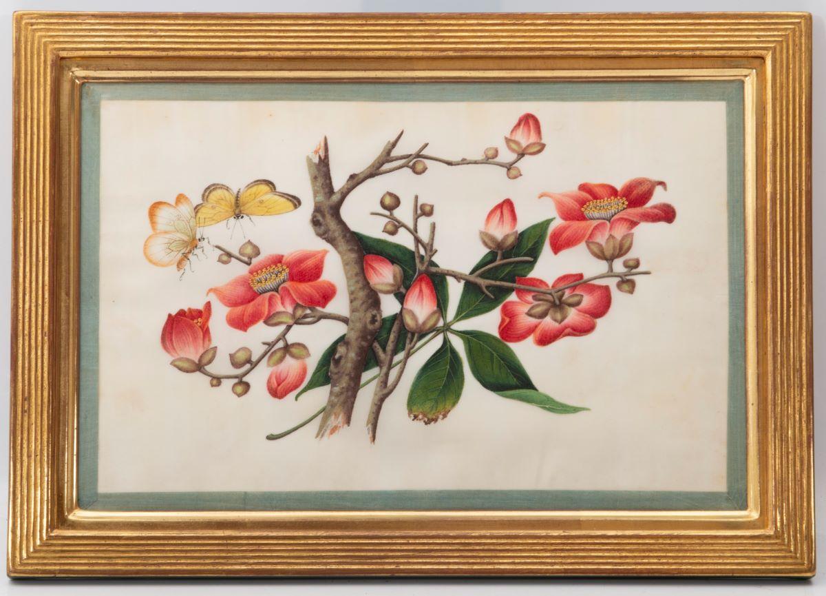 [CHINESE EXPORT WATERCOLOURS ON PITH PAPER].
Group of 12 flowers and insects.
Mid to late nineteenth century.
 
A fine group of Chinese export watercolours showing flowers and insects..
12 hand painted water-colours on pith paper of flowers and