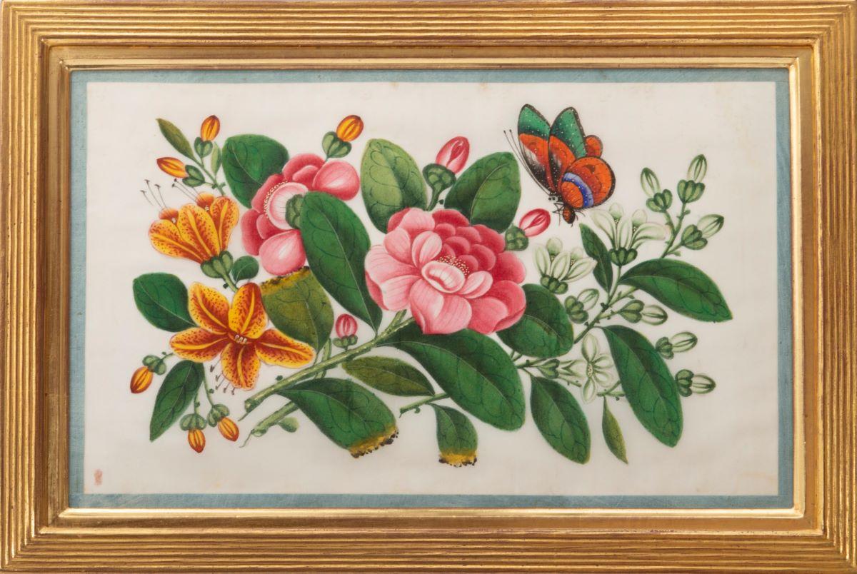 [CHINESE EXPORT WATERCOLOURS ON PITH PAPER]. - Botanical Studies  For Sale 4