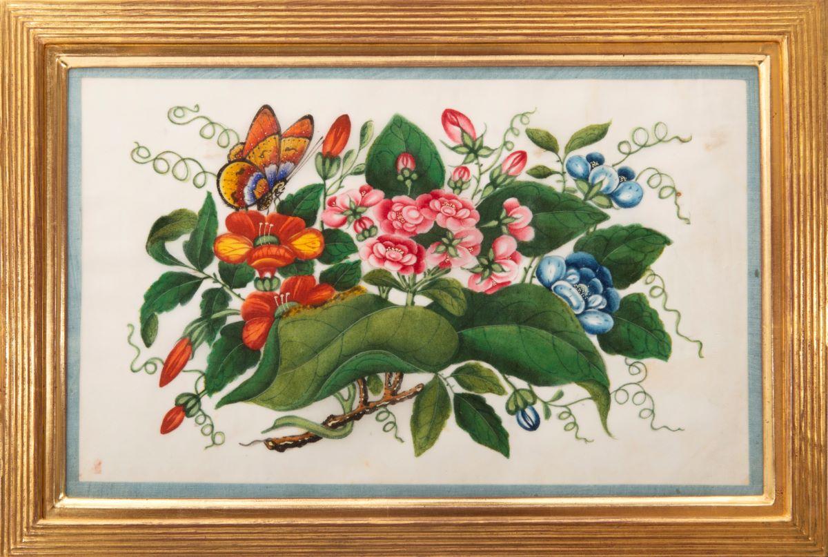 [CHINESE EXPORT WATERCOLOURS ON PITH PAPER]. - Botanical Studies  - Naturalistic Art by Unknown