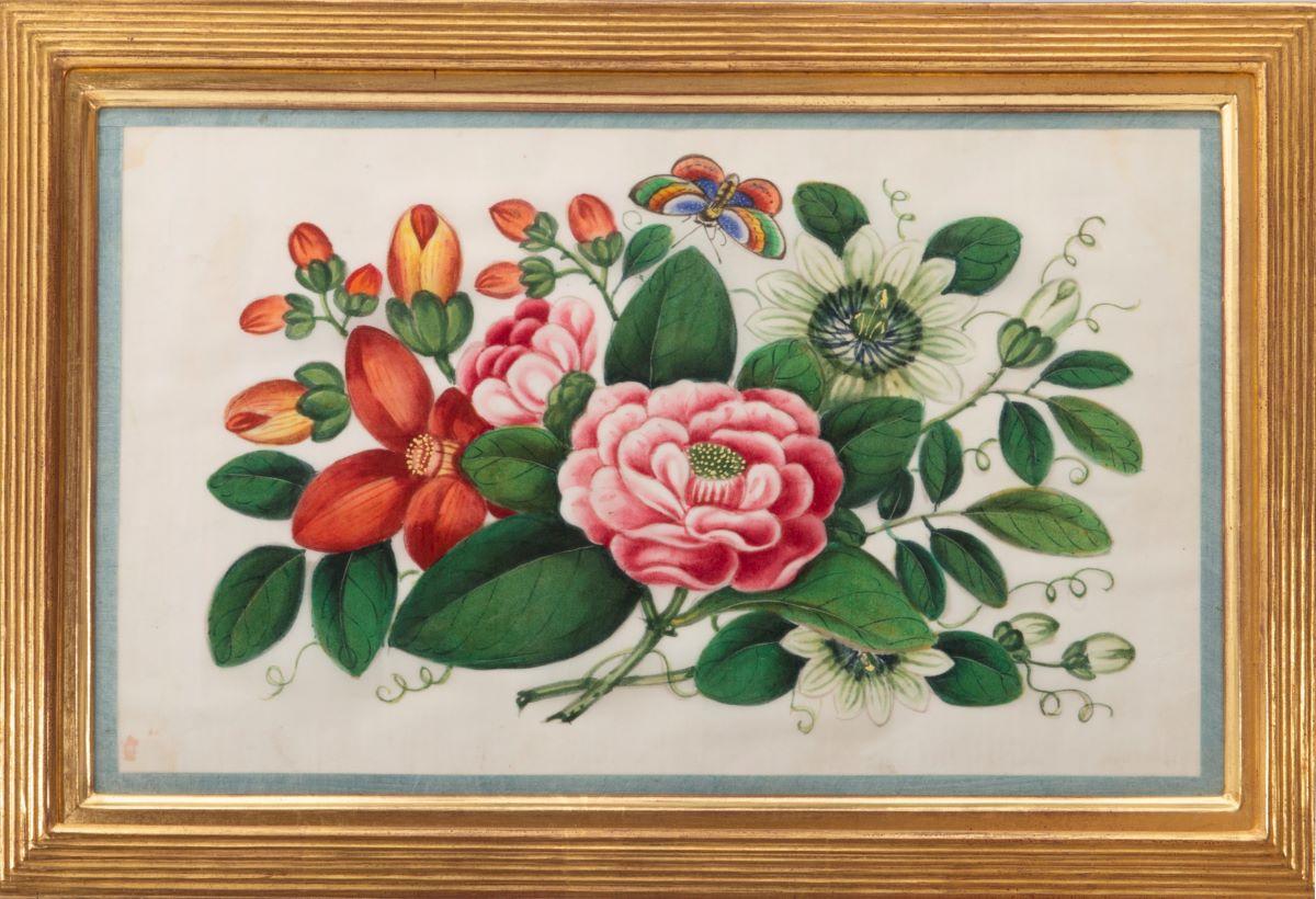 [CHINESE EXPORT WATERCOLOURS ON PITH PAPER]. - Botanical Studies  For Sale 2