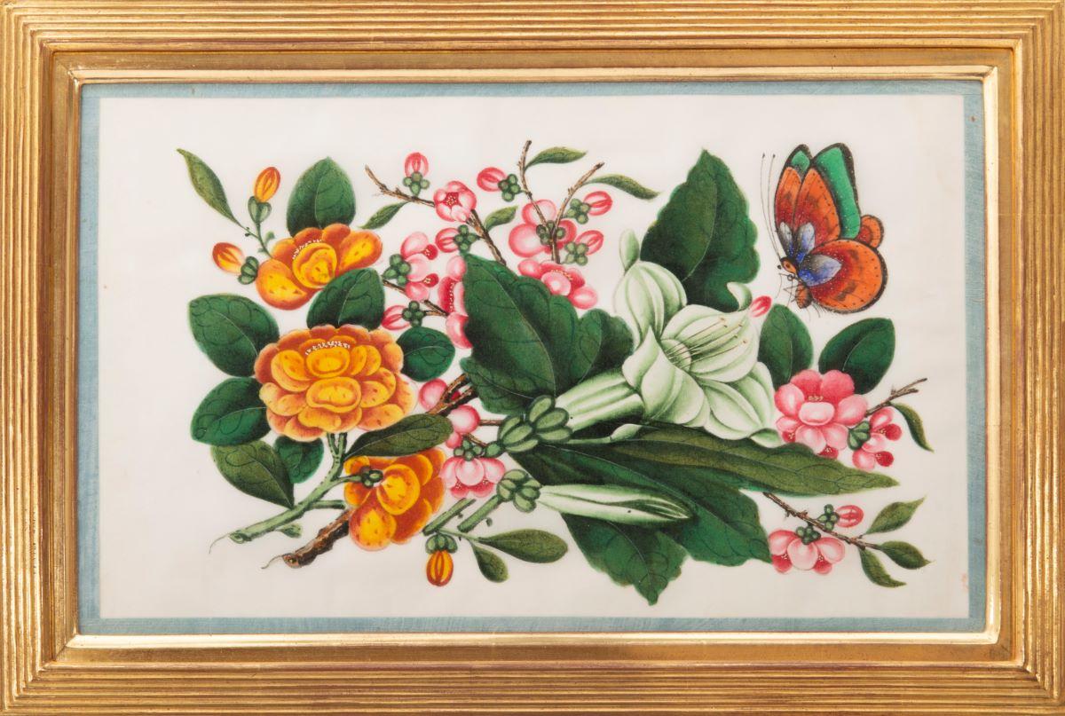 [CHINESISCHE EXPORTAQUARELLE AUF MARKPAPIER]. - Botanische Studien  – Art von Unknown