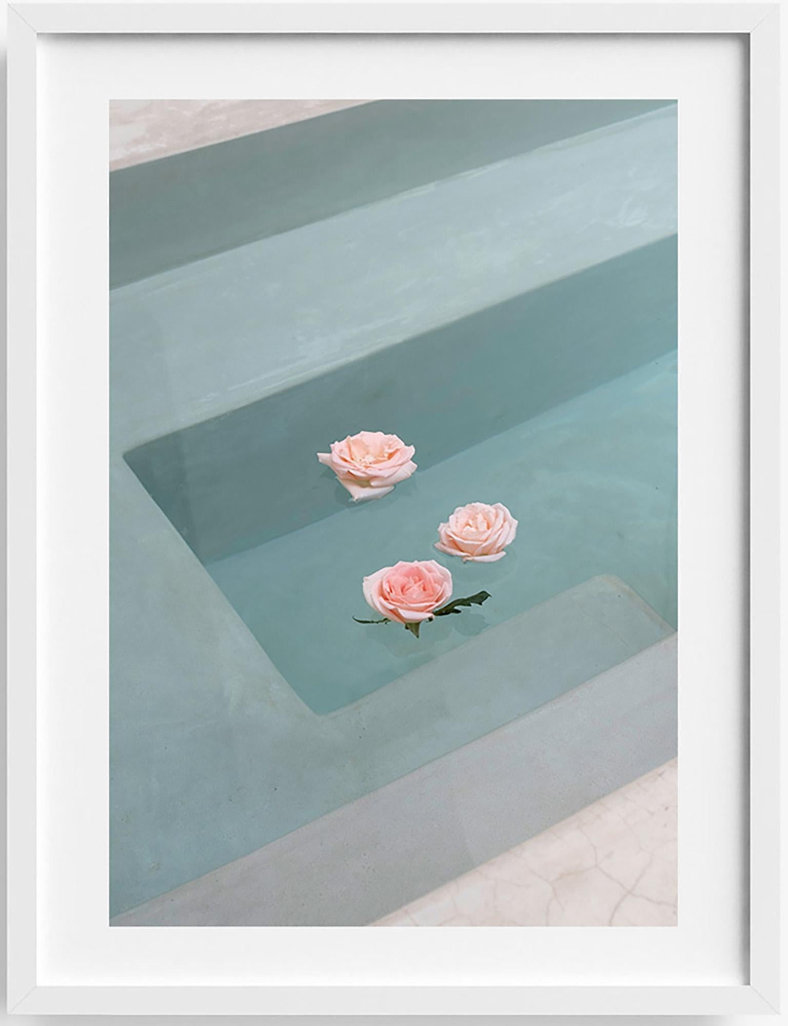 Clemente Vergara Landscape Photograph - Roses Floating