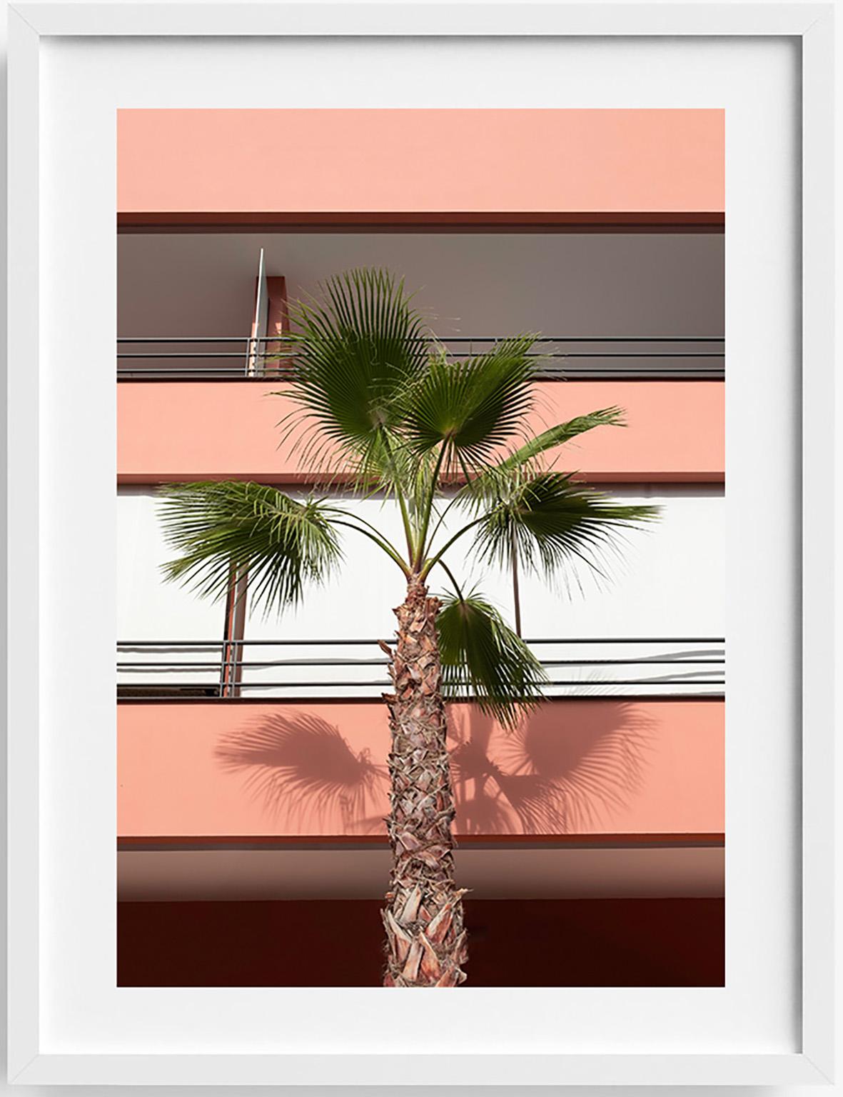 Clemente Vergara Landscape Photograph - Palm Beach