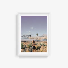 Palm Tree