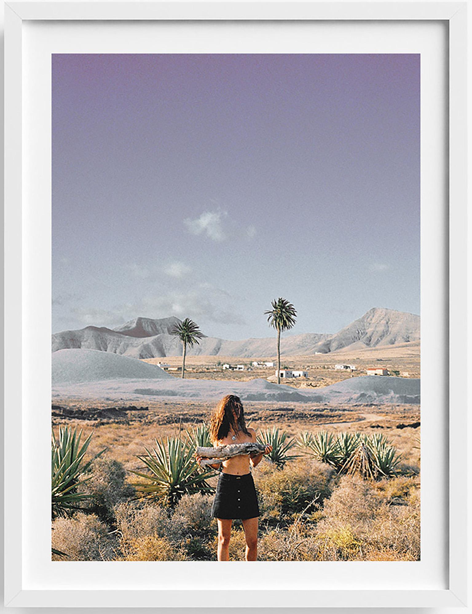 Bernarda Conic  Landscape Photograph - Palm Tree