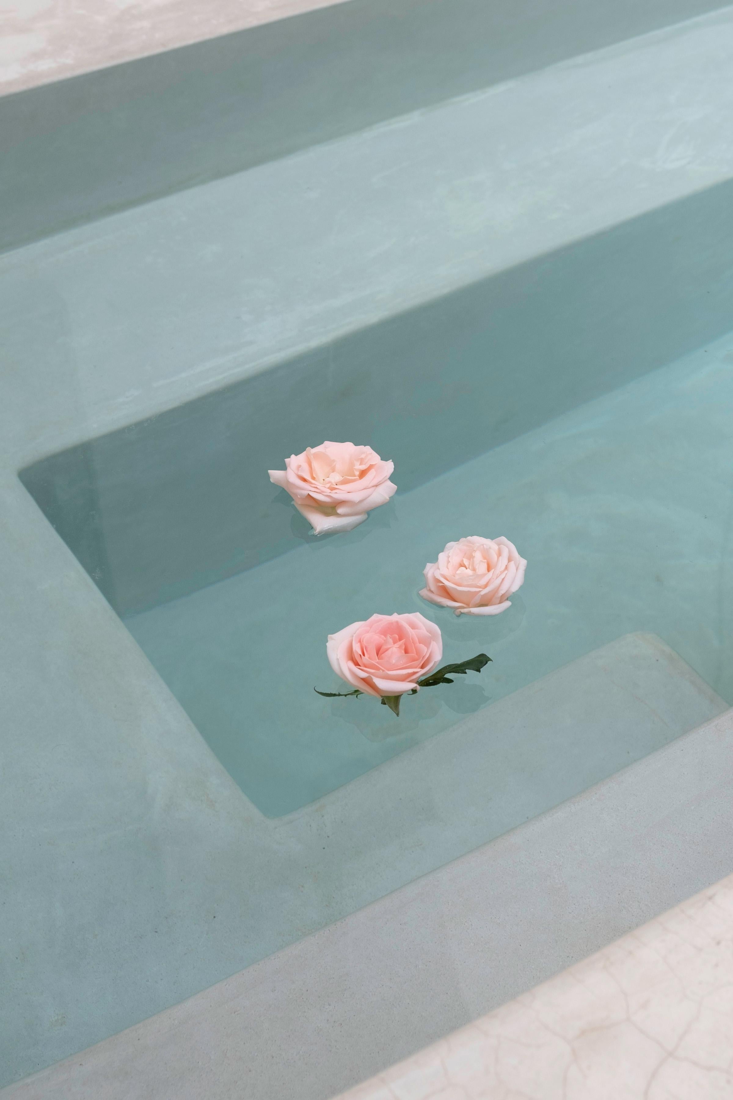 Roses Floating - Gray Color Photograph by Clemente Vergara