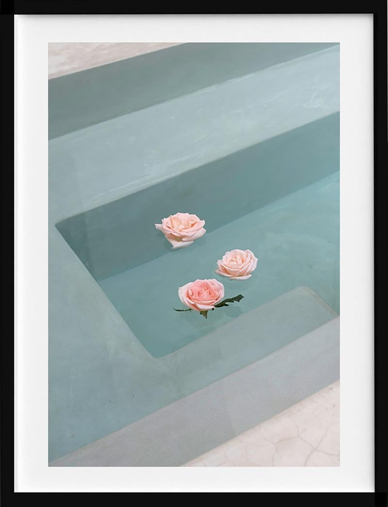 Clemente Vergara Color Photograph - Roses Floating