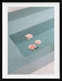 Roses Floating