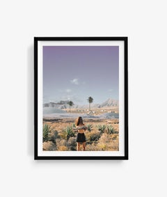 Palm Tree