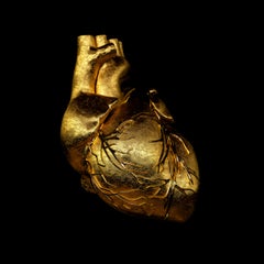GREGOIRE A MEYER - Cuore d'oro 2017
