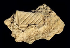 EDOUARD MERZOUK - Chanel Fossil-Tasche