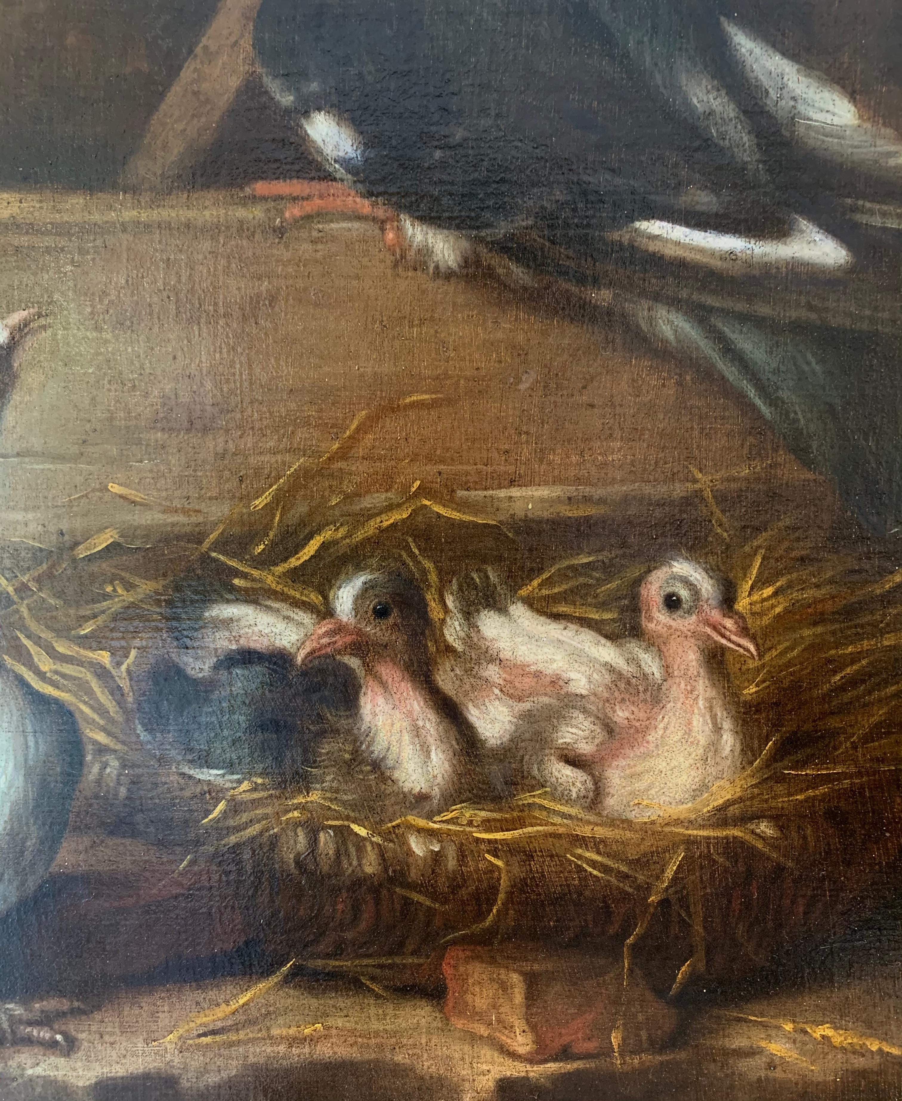 A happy nest - 17th century Italian painting bird animal - The nesting doves - Baroque Painting by Giacomo da Castello