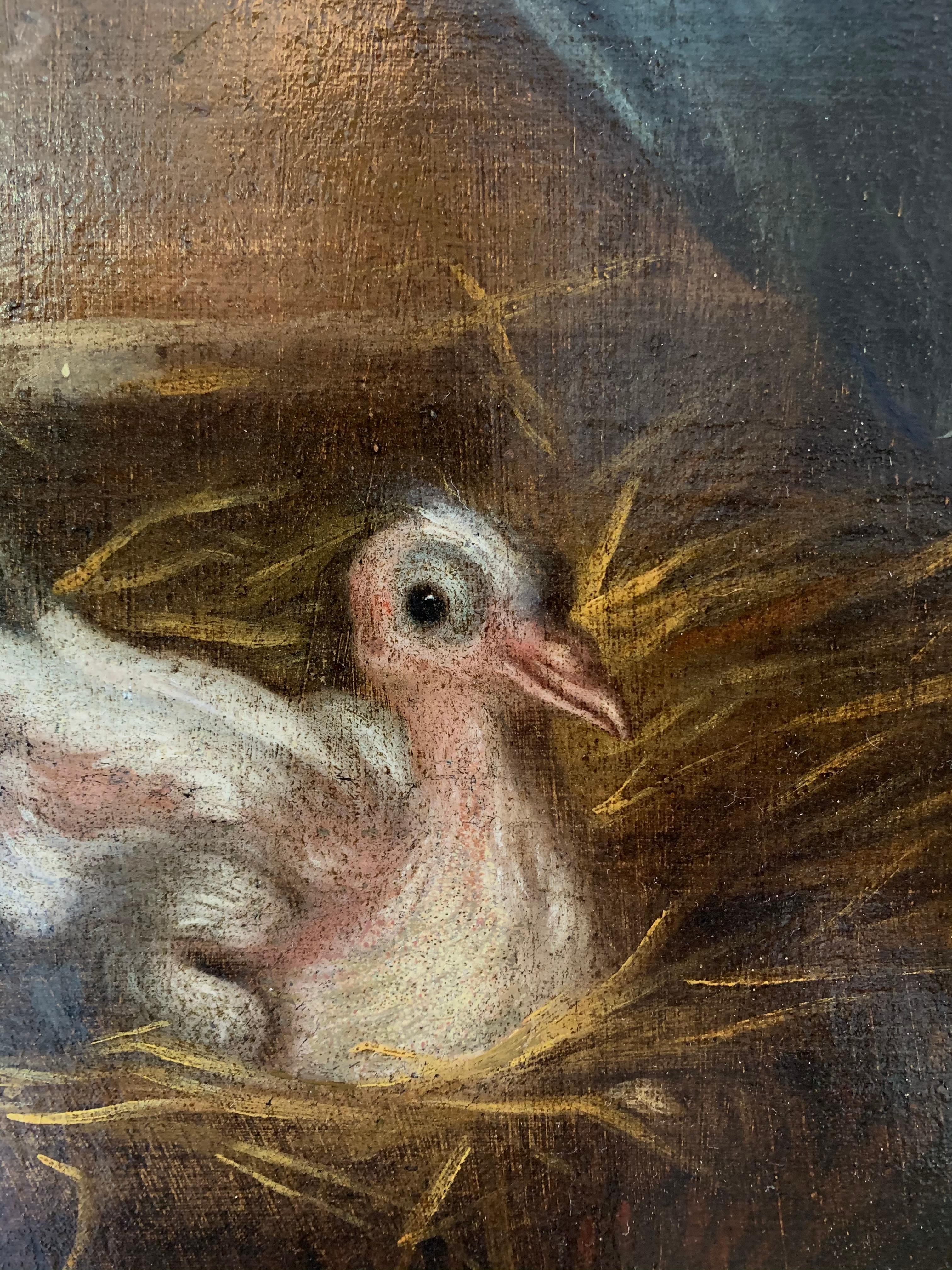 A happy nest - 17th century Italian painting bird animal - The nesting doves - Brown Animal Painting by Giacomo da Castello