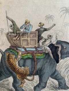 Elephant Antique Hand Coloured Print - India Asia Exotic