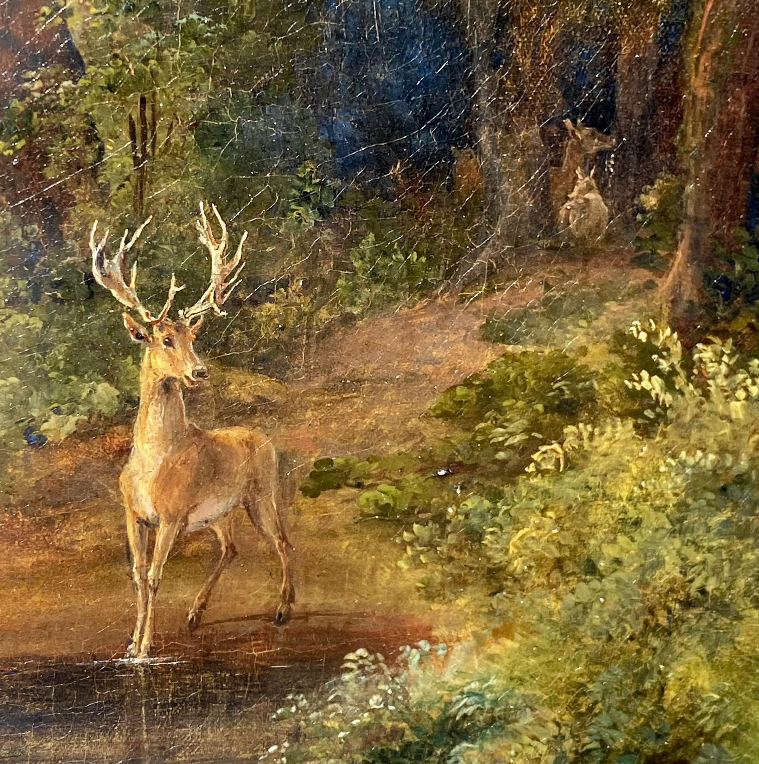 19th century German painting - Deer family in a forest - Romantic Landscape  - Brown Animal Painting by Johann Wilhelm Schirmer 