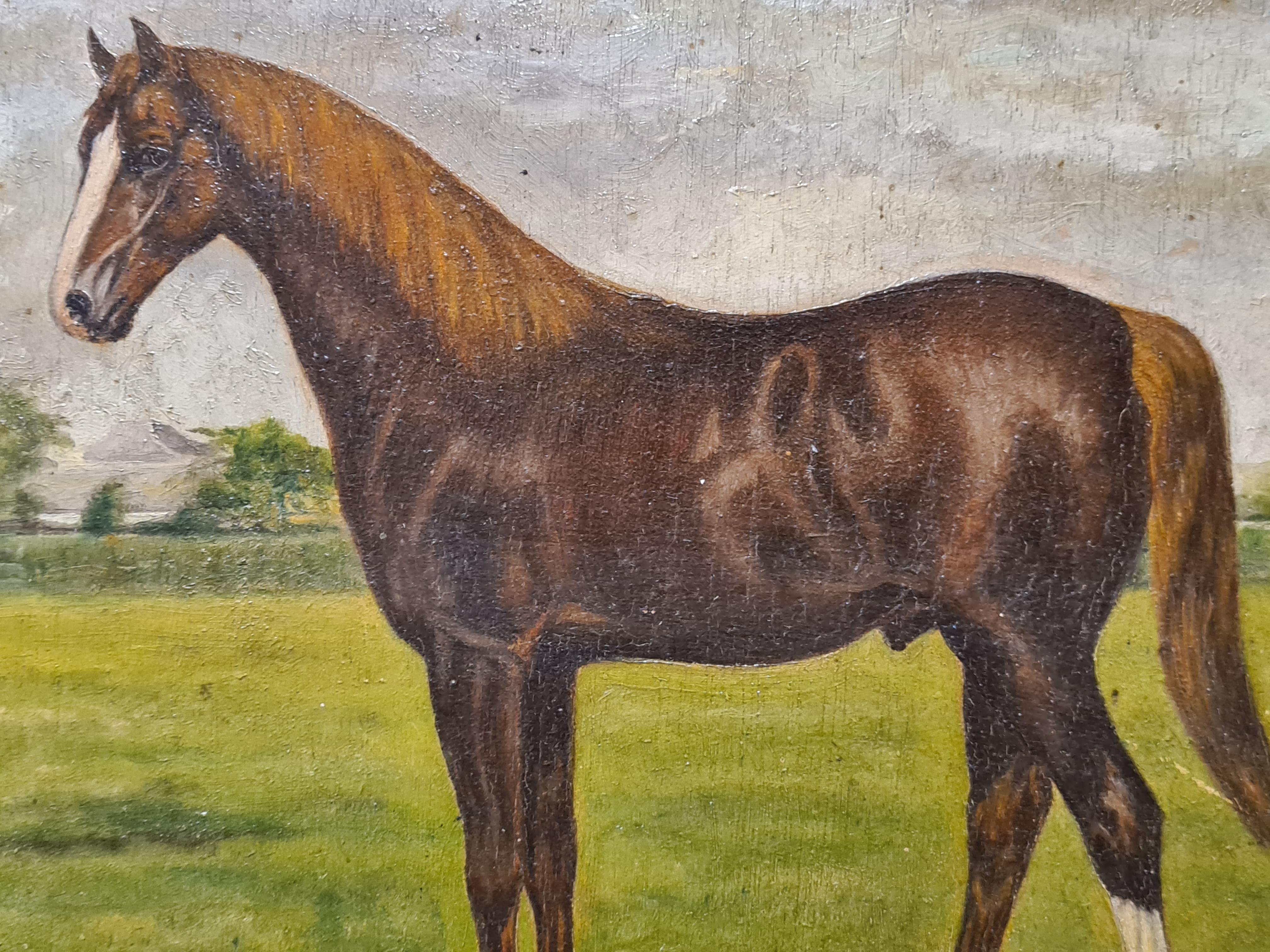 Thoroughbred Stallion, Early 20th Century Oil on Wood Panel. - Realist Painting by G. Soupart