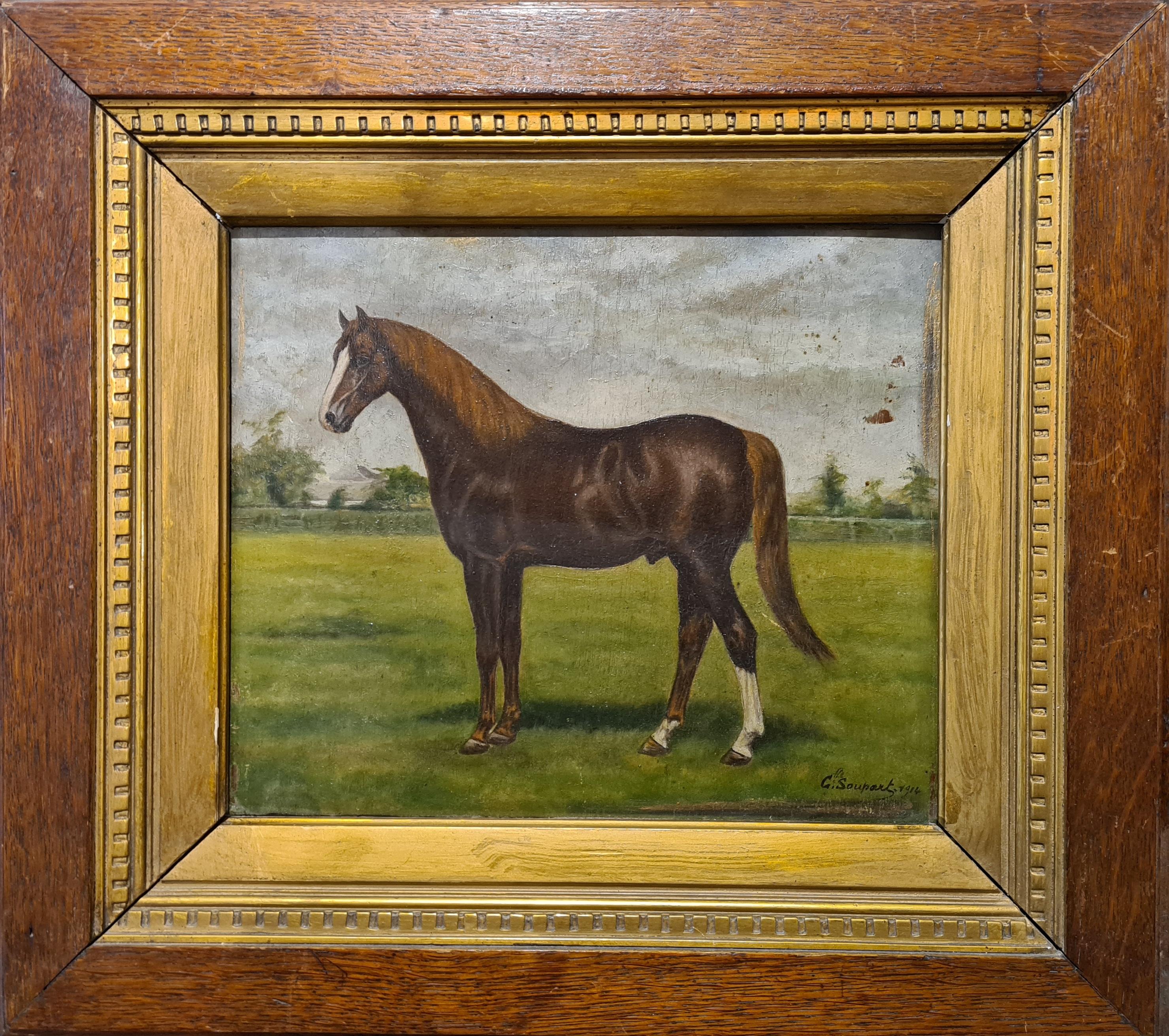 G. Soupart Animal Painting - Thoroughbred Stallion, Early 20th Century Oil on Wood Panel.