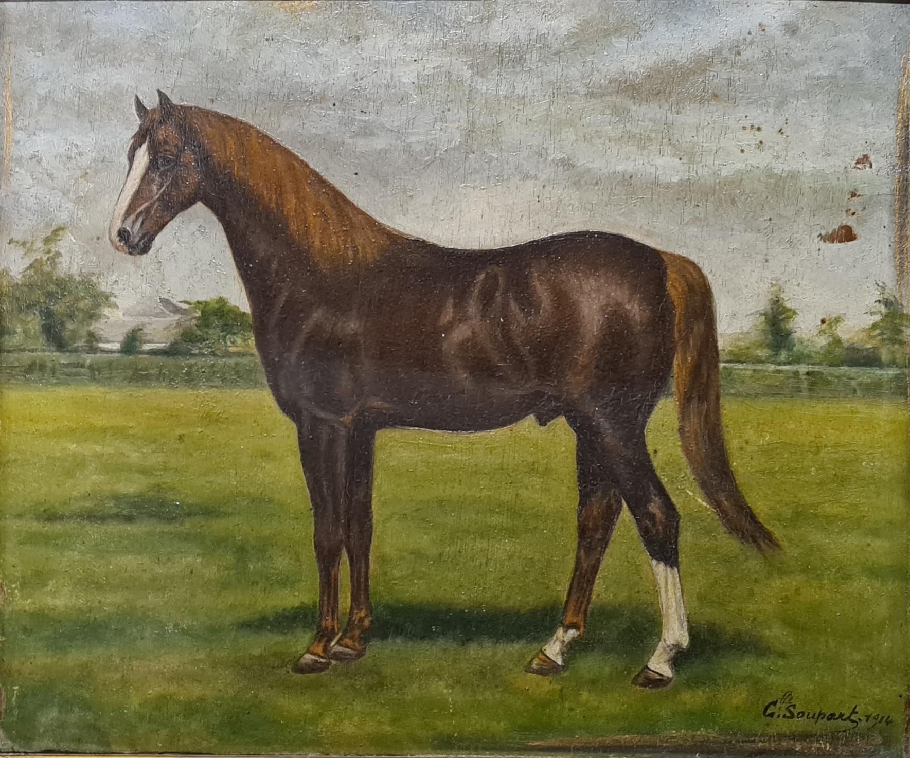 Thoroughbred Stallion, Early 20th Century Oil on Wood Panel. - Painting by G. Soupart