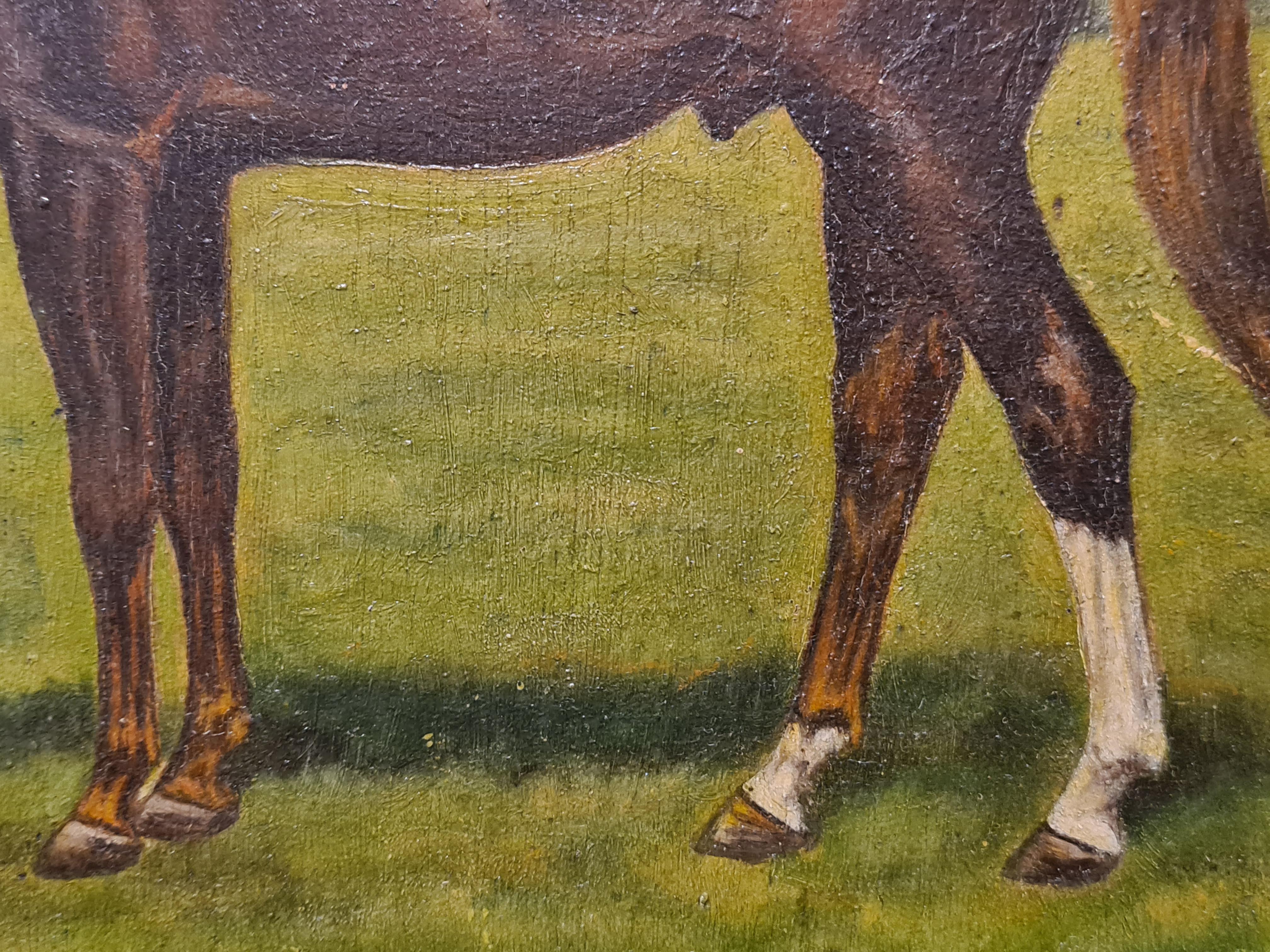Thoroughbred Stallion, Early 20th Century Oil on Wood Panel. 1