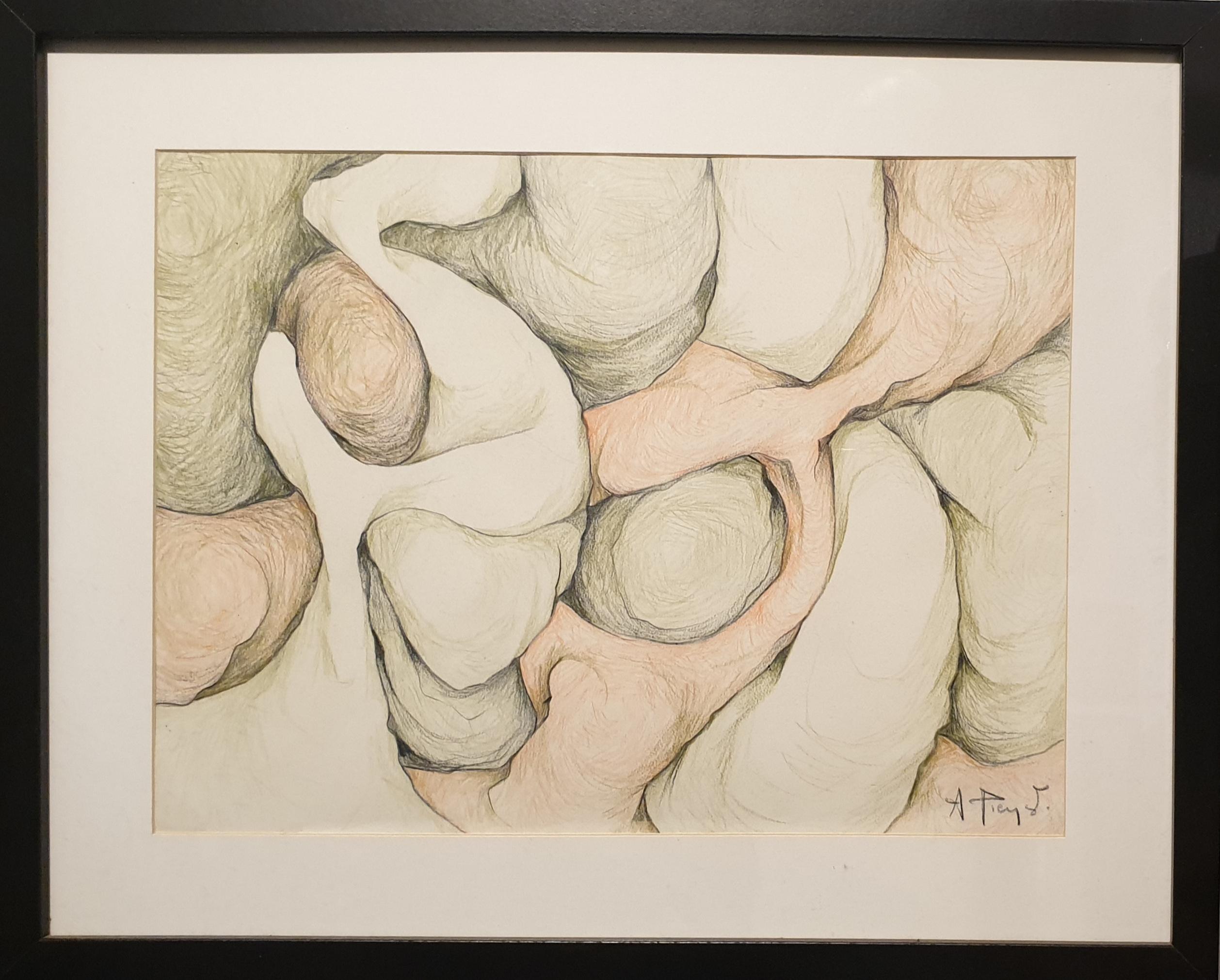 André Pierret Abstract Drawing - Abstract Expressionist Biomorphic Coloured Pencil Drawing.