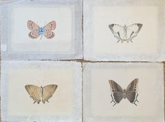 Set of Four Butterflies. French Watercolours on Silk Laid on Handmade Paper.