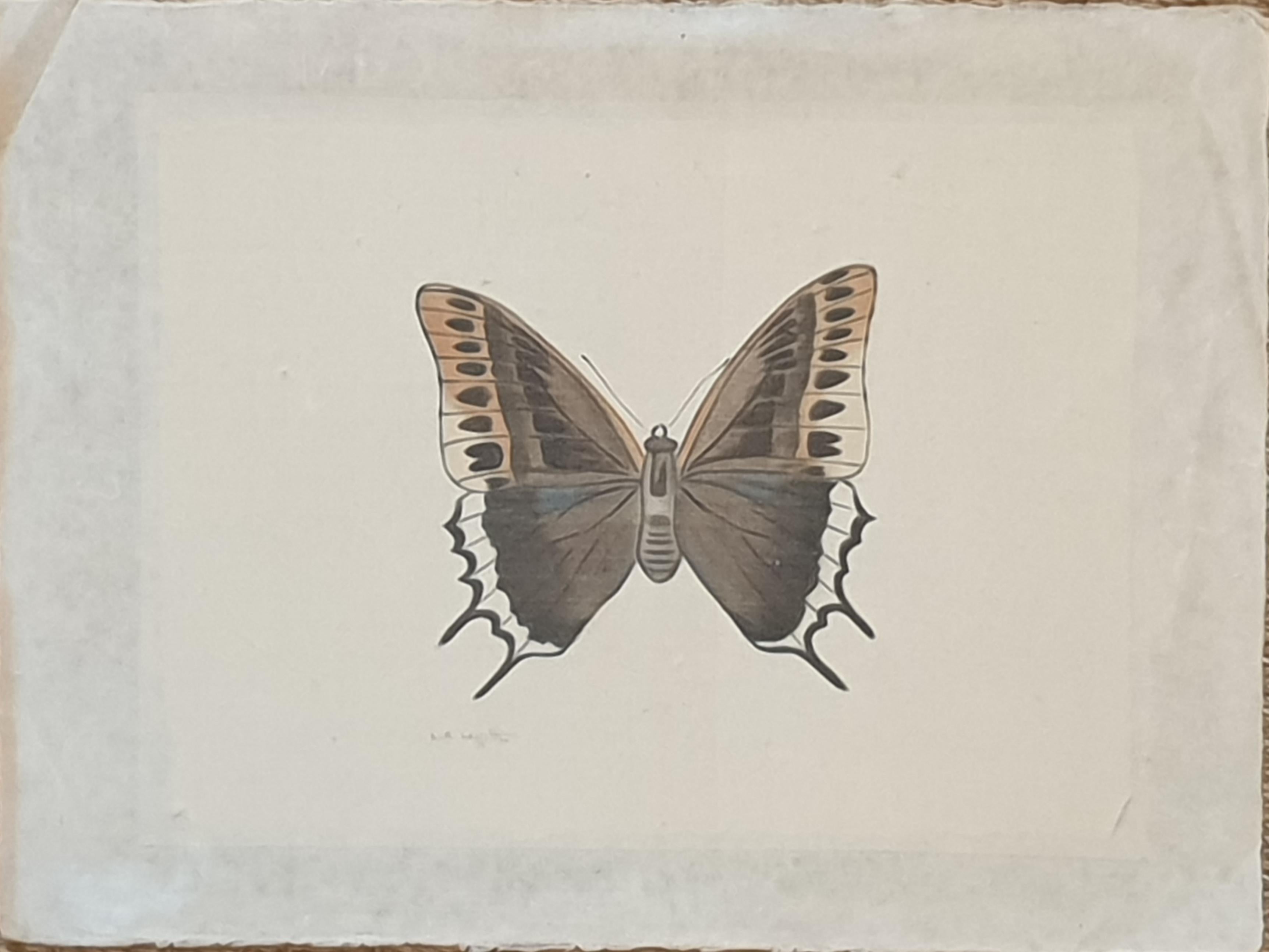 Studie eines Schmetterlings, handgefertigtes Aquarell-Seidenpapier mit Applikation. La Roche Laffitte