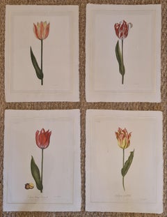 Set von vier feinen handbemalten botanischen Aquarellstudien auf Seide
