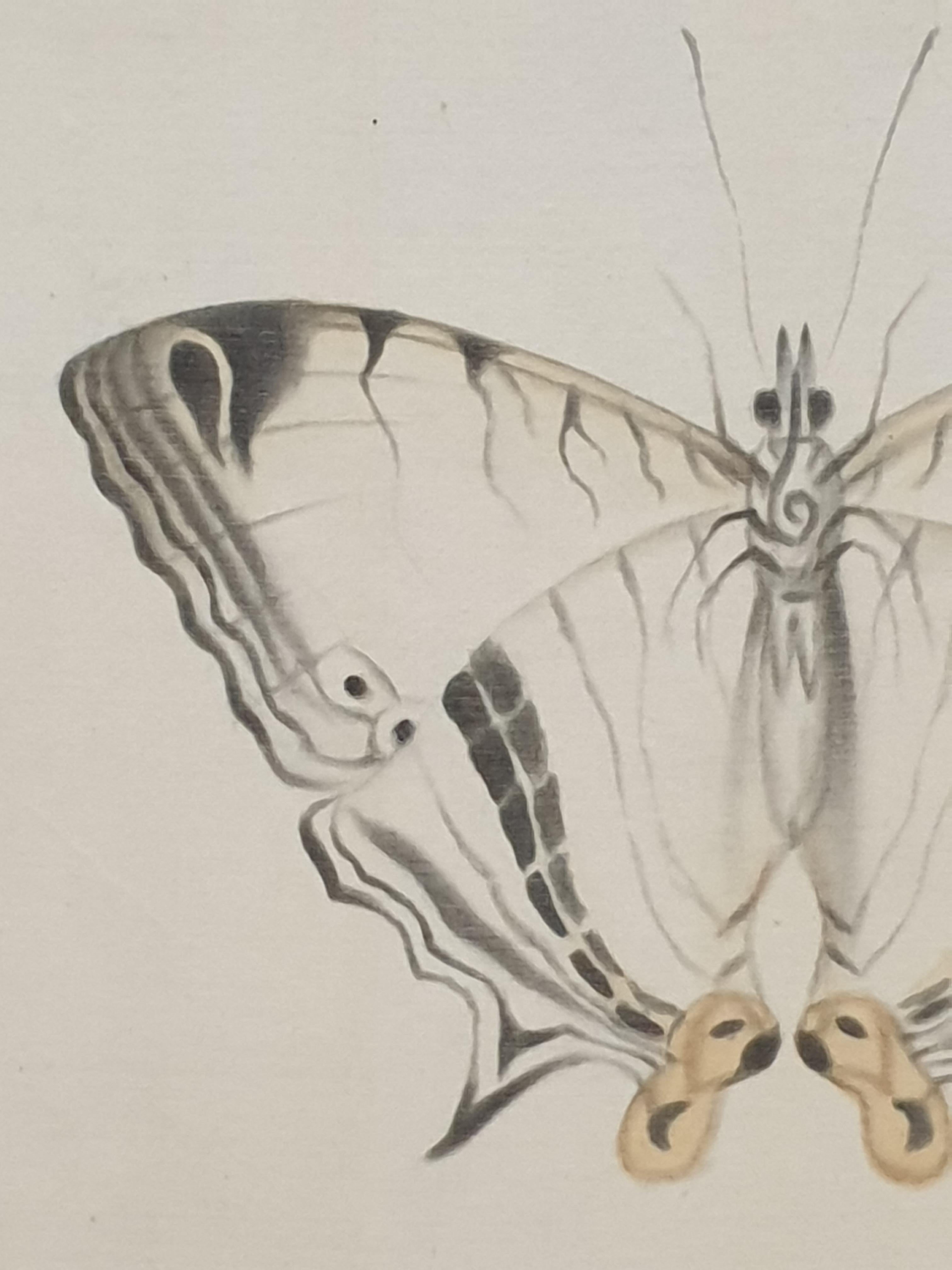 Set aus vier Schmetterlingen. Französische Aquarelle auf Seide auf handgeschöpftem Papier.  im Angebot 4