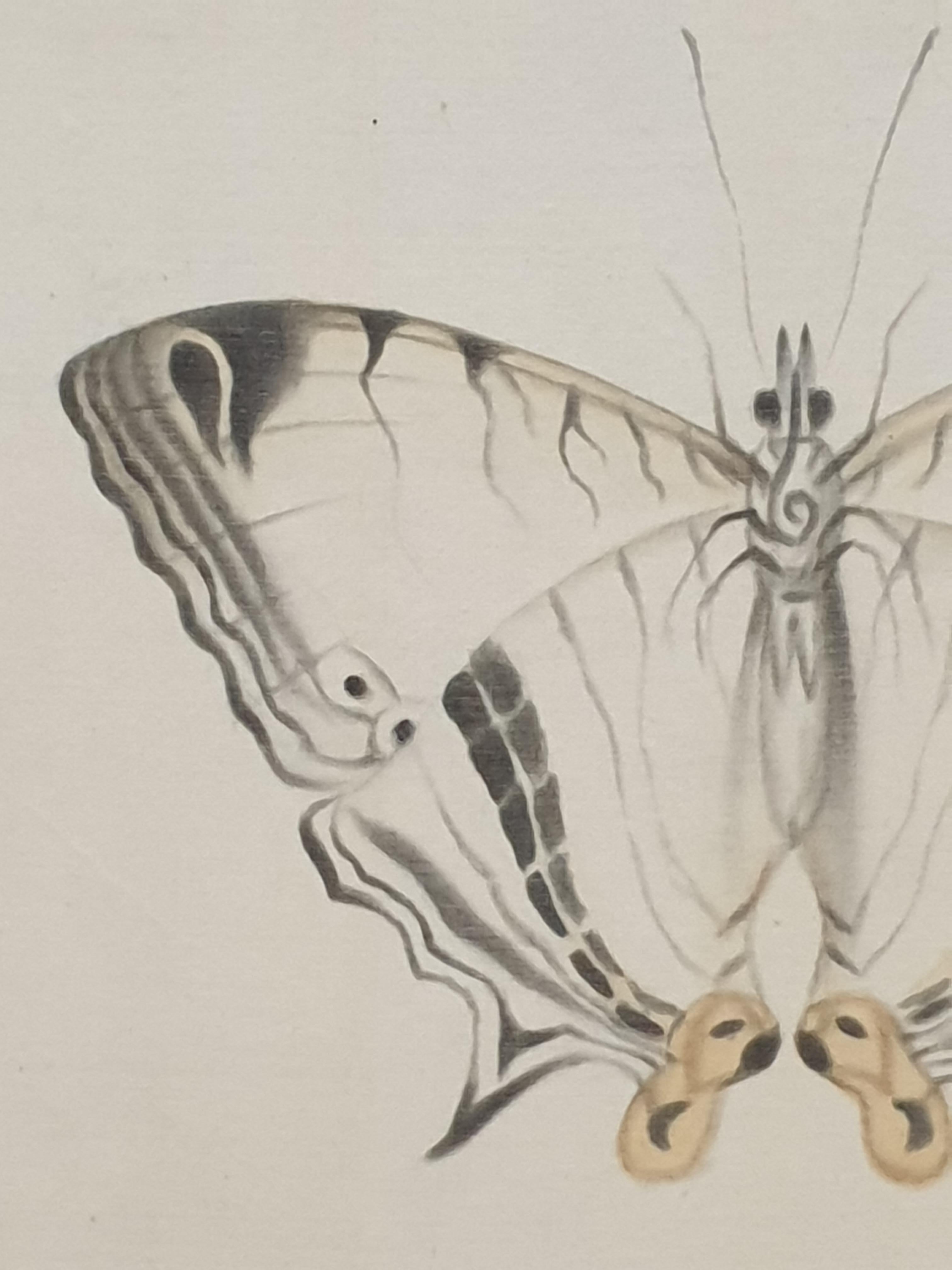 Set de cuatro mariposas. Acuarelas francesas sobre seda y papel hecho a mano. en venta 3