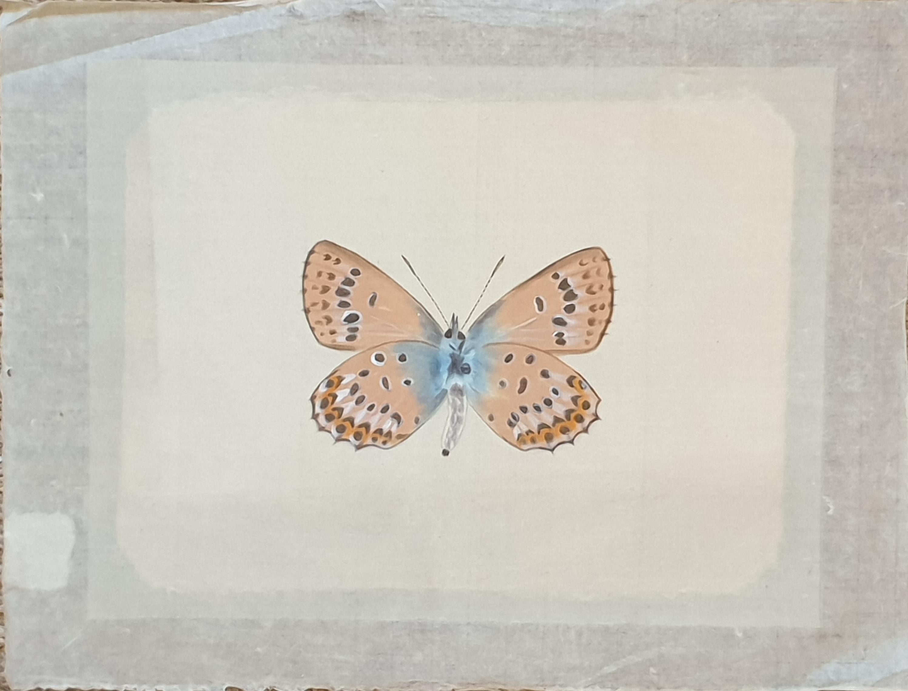Set of Four Butterflies. French Watercolours on Silk Laid on Handmade Paper.  - Realist Art by La Roche Laffitte