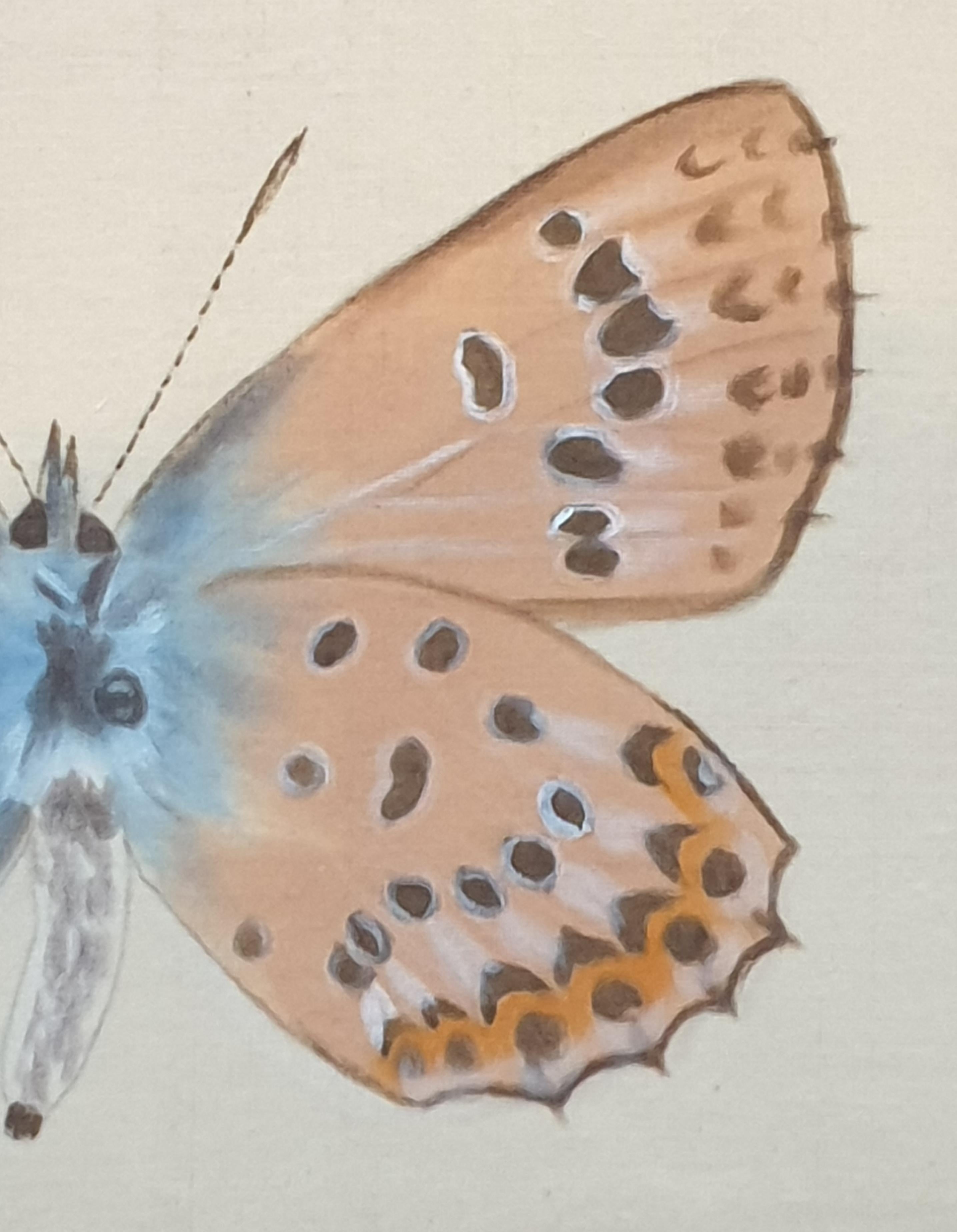 Vier Aquarelle von Schmetterlingen auf Seide, aufgetragen auf handgeschöpftem Papier, mit handgeschnittenen Kanten, von der französischen Künstlerin La Roche Laffitte. Zwei sind unten rechts vom Künstler signiert, eines in der Mitte unten links und