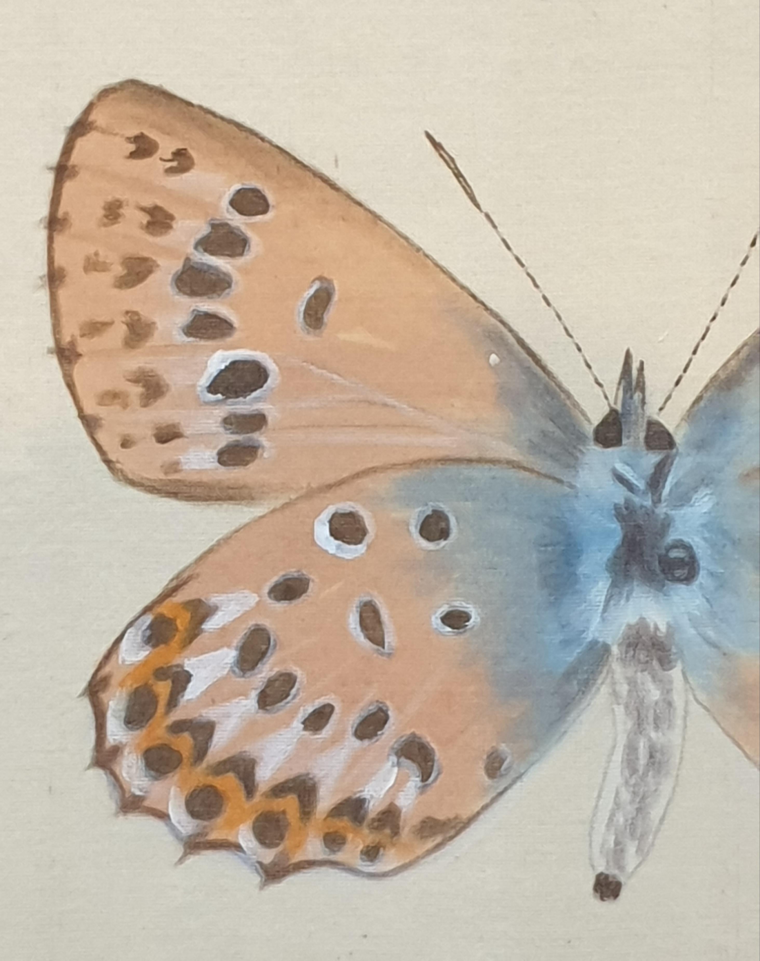 Set aus vier Schmetterlingen. Französische Aquarelle auf Seide auf handgeschöpftem Papier.  im Angebot 1
