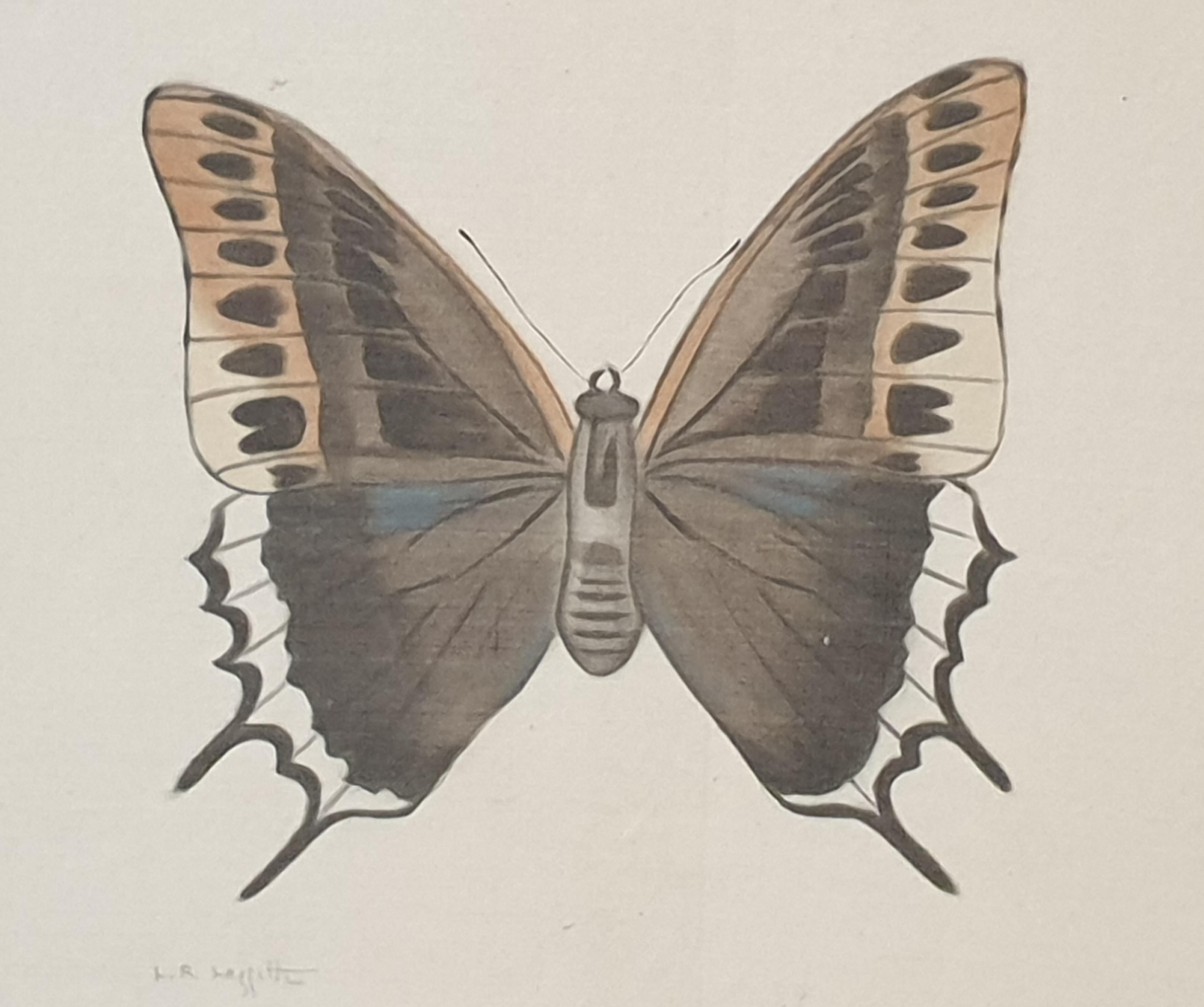 Set aus vier Schmetterlingen. Französische Aquarelle auf Seide auf handgeschöpftem Papier.  im Angebot 13