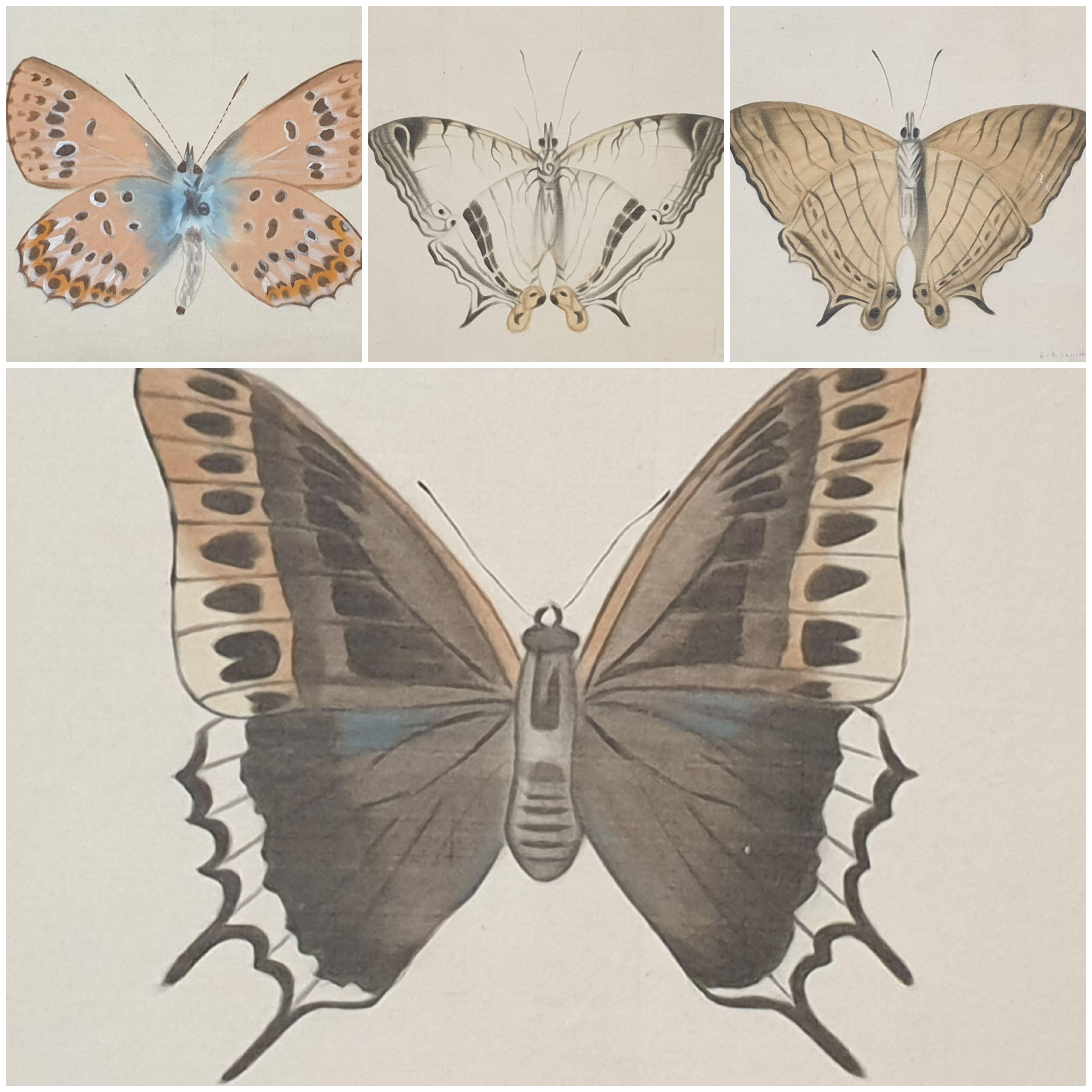 La Roche Laffitte Animal Art – Set aus vier Schmetterlingen. Französische Aquarelle auf Seide auf handgeschöpftem Papier. 