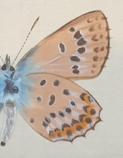 Study of a Butterfly, Watercolour on Silk Applied to Handmade Paper.
